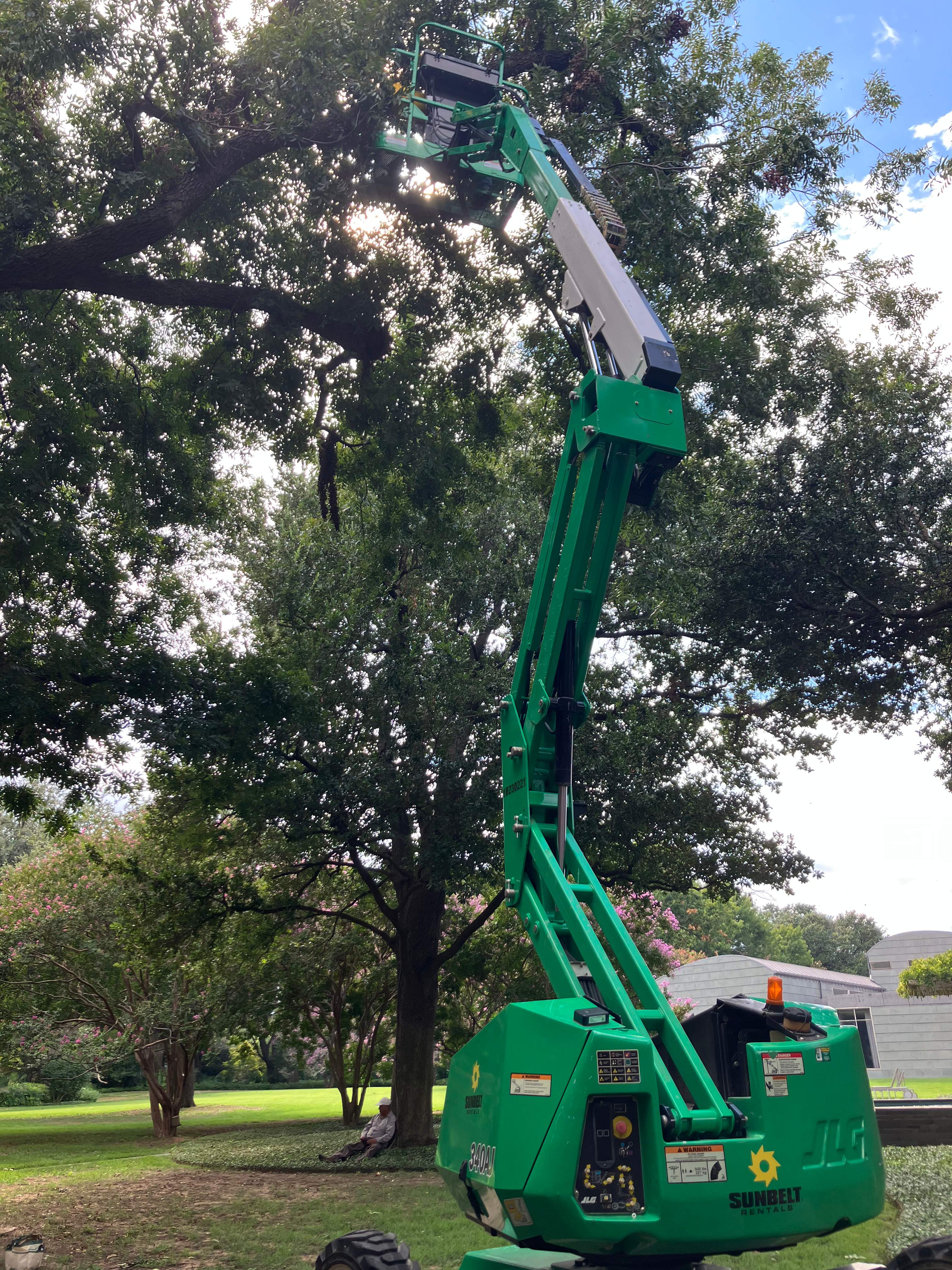 Open-Air Massive Colony by Rockwall Honey Bee Company