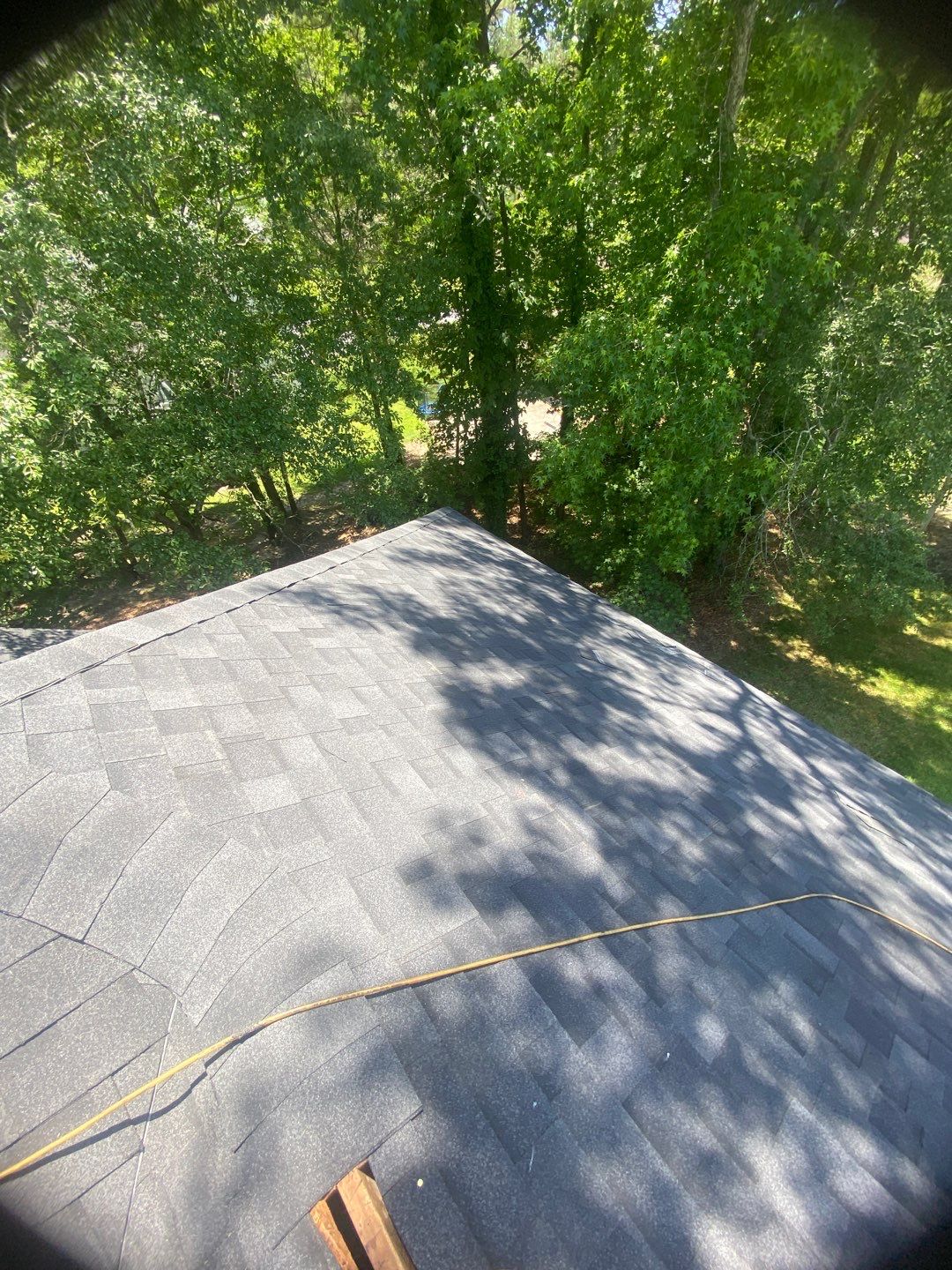 Rotten Wood by Roof Bullies