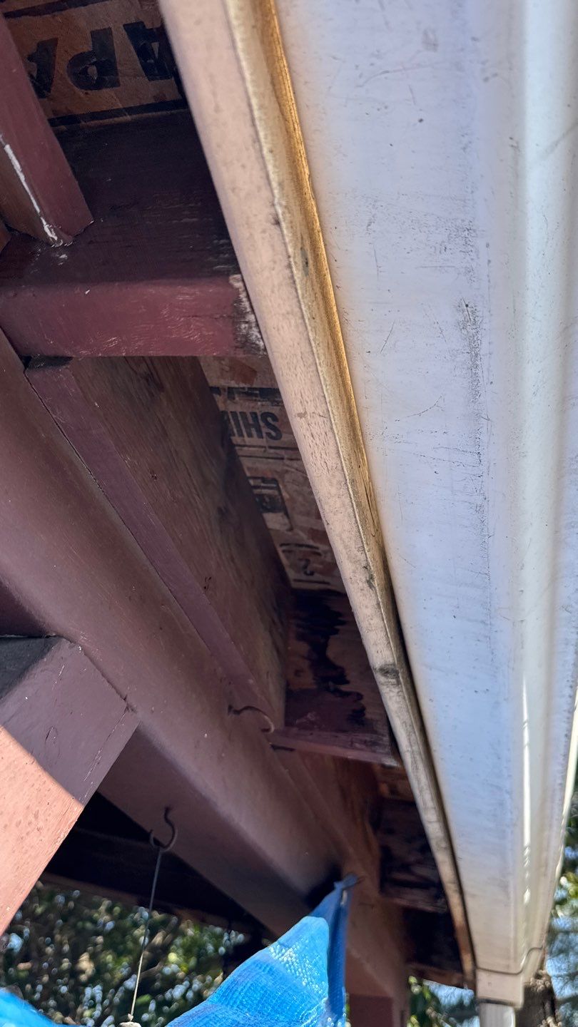 Project by NuLead Construction Inc by NuLead Construction Inc