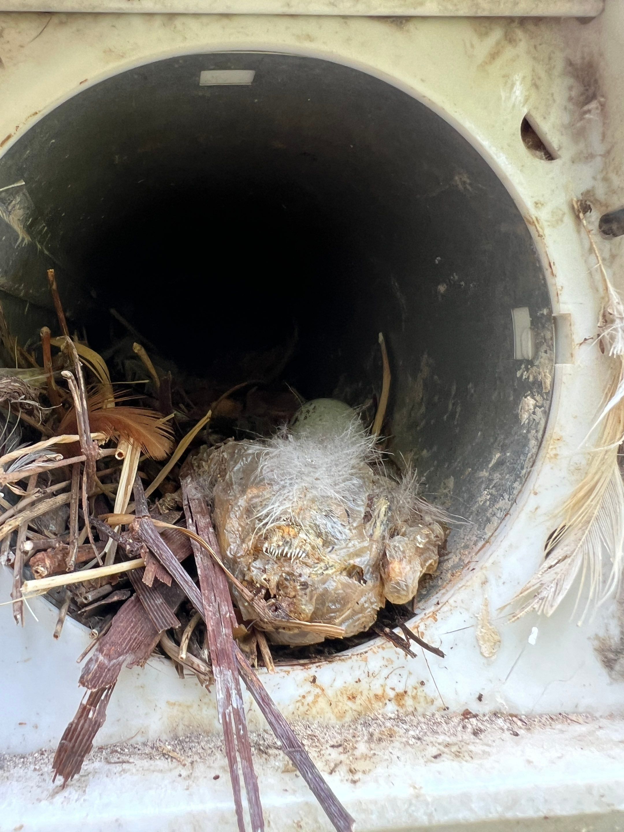 Dryer Vent Cleaning in Canonsburg, PA by Superior Air Duct Cleaning