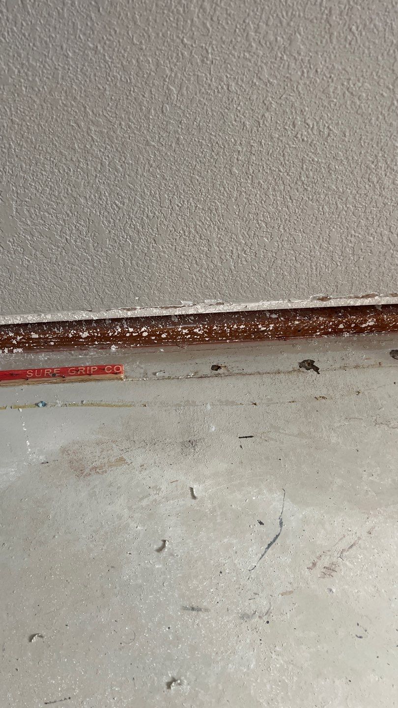 Mold Remediation  by Accountable Home Services