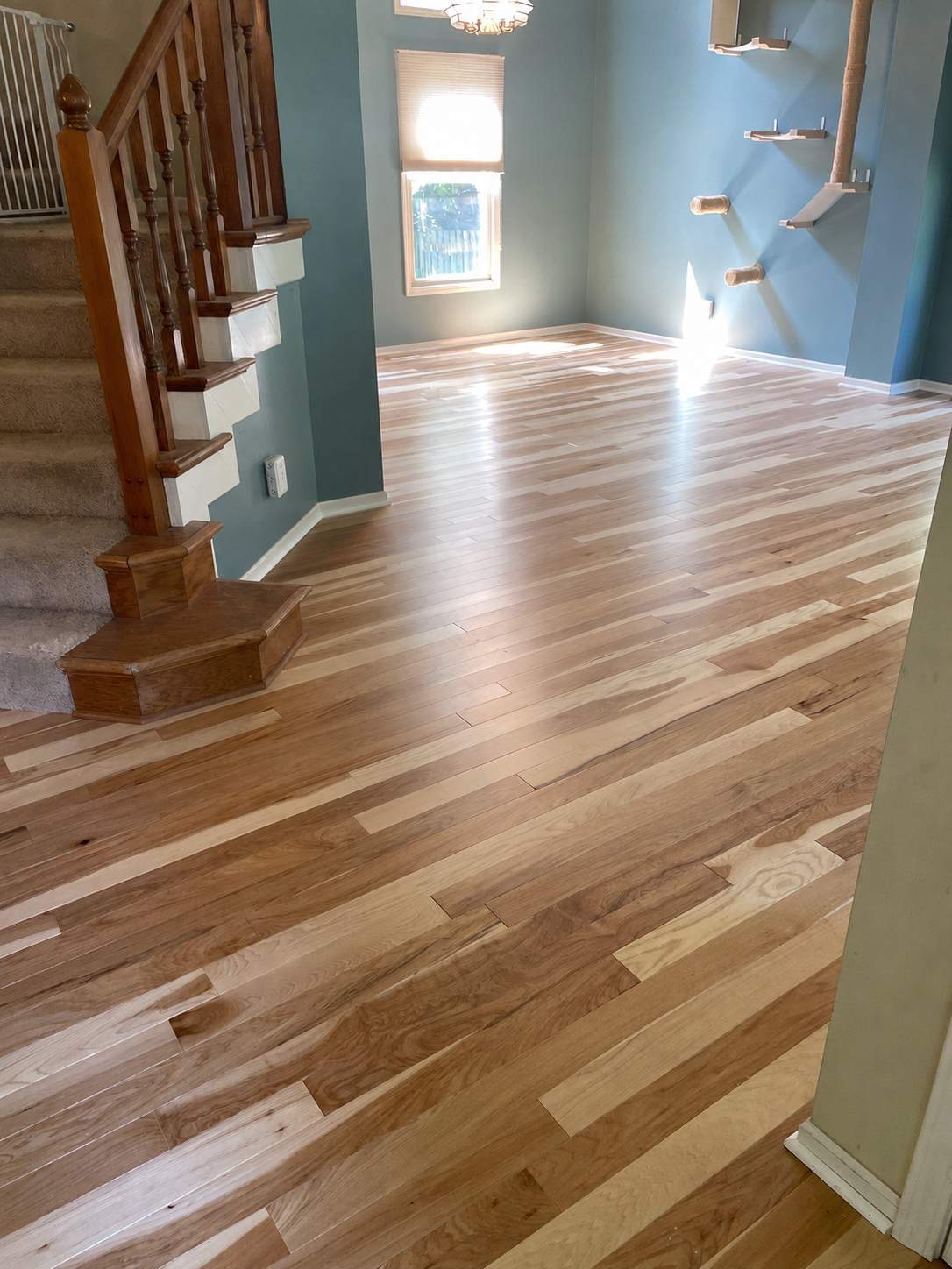 Natural Finish Solid Hickory Flooring Installation in Indianapolis by Brothers Floor Covering INC.