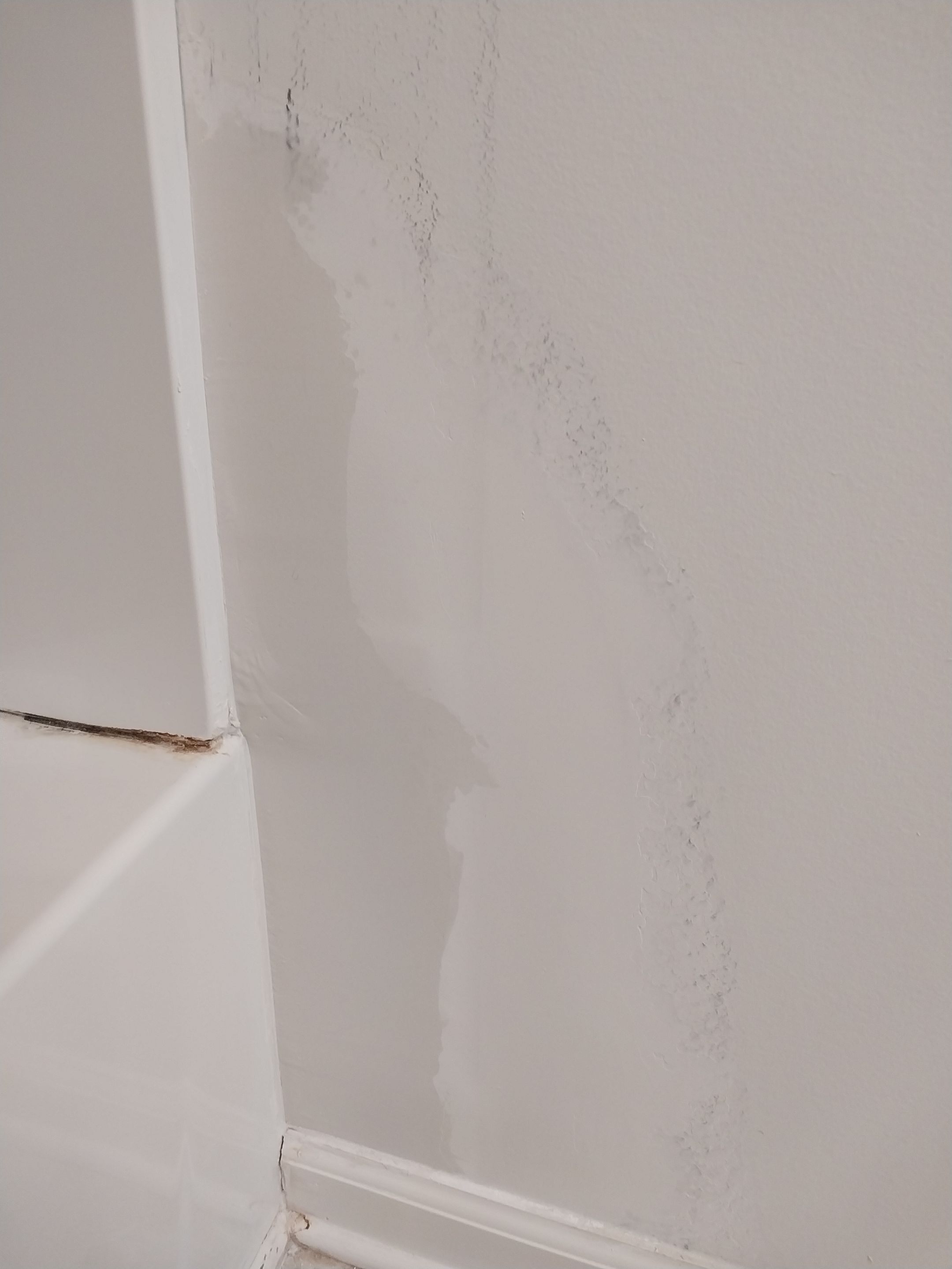 Drywall Repair using Drywall by Laser Focused Solutions LLC