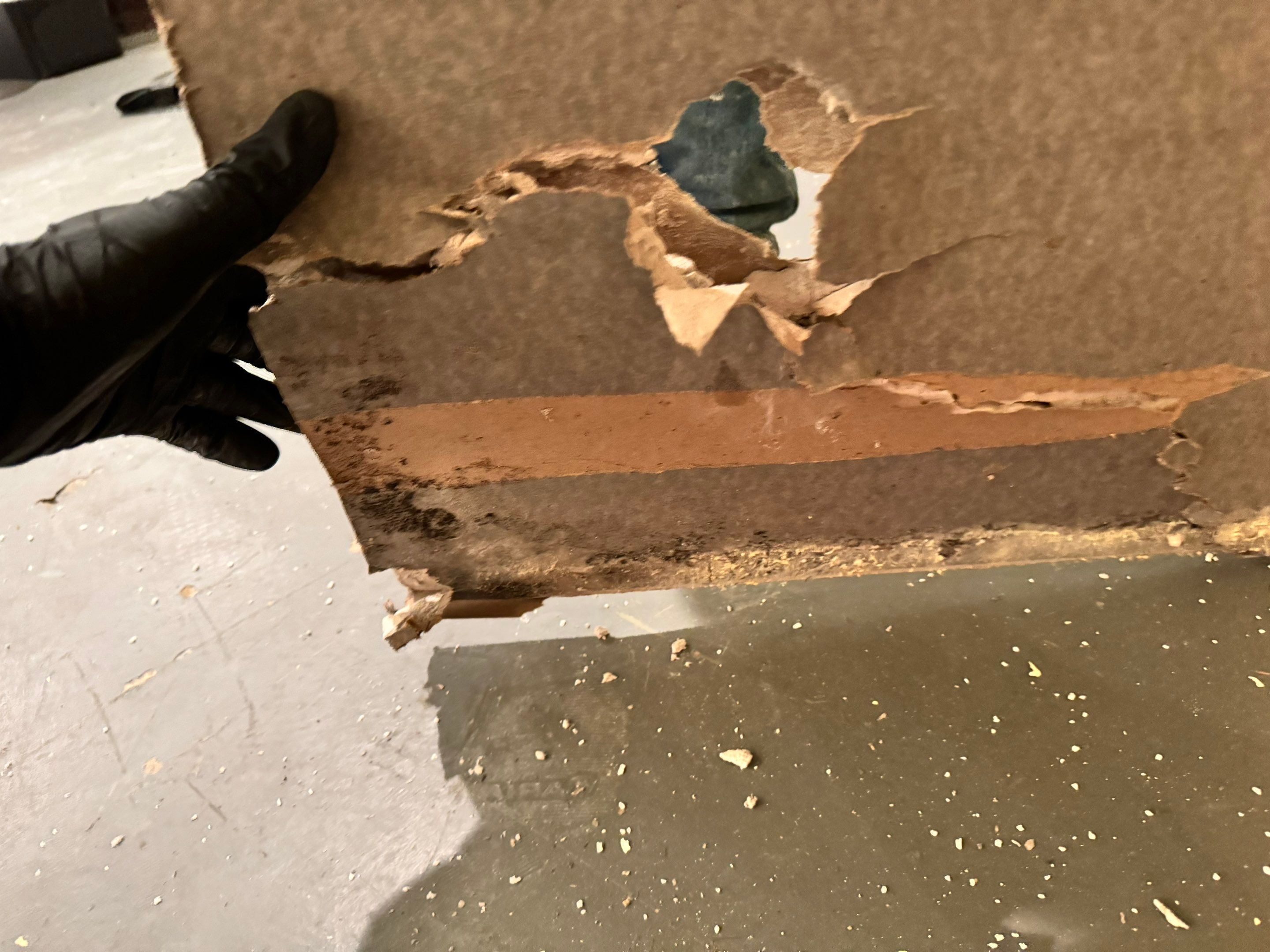 Mold Remediation using Home Guarantee by Home Guarantee, LLC