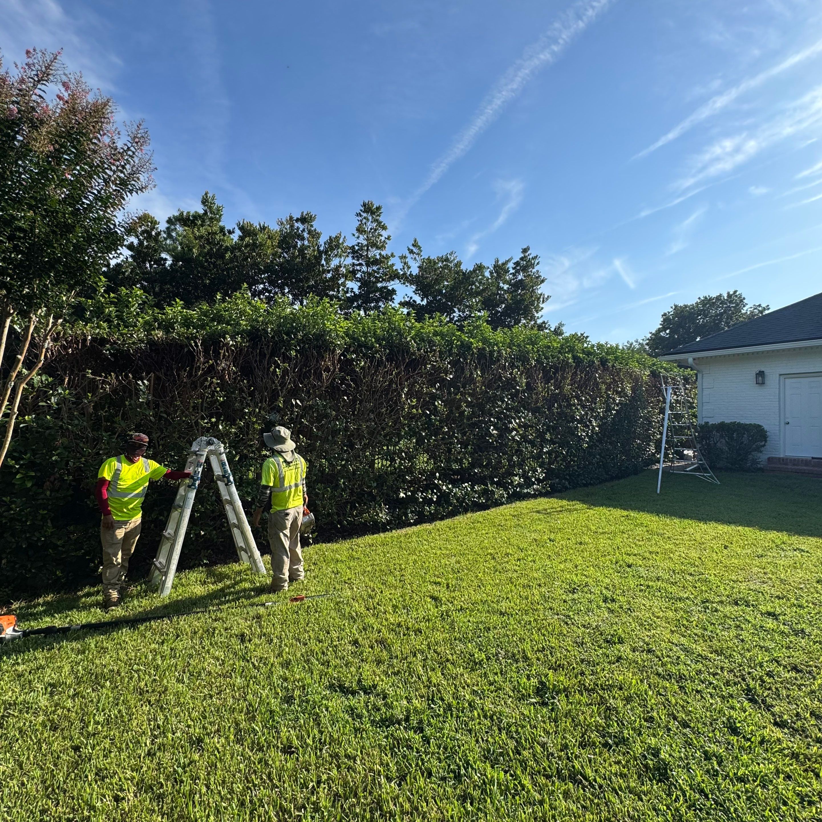 Deerwood Resident | Shrub Trimming by ProGreen Services
