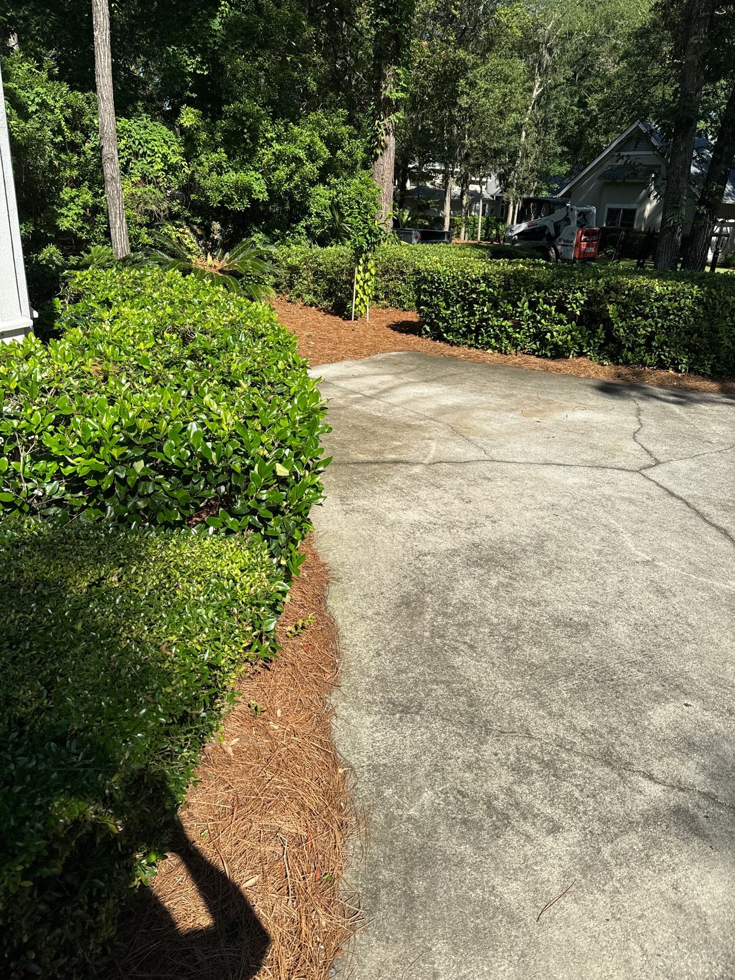 Hilton Head Island Concrete Driveway Replacement with Herringbone Brick Inlays by Lowcountry Scapes, LLC