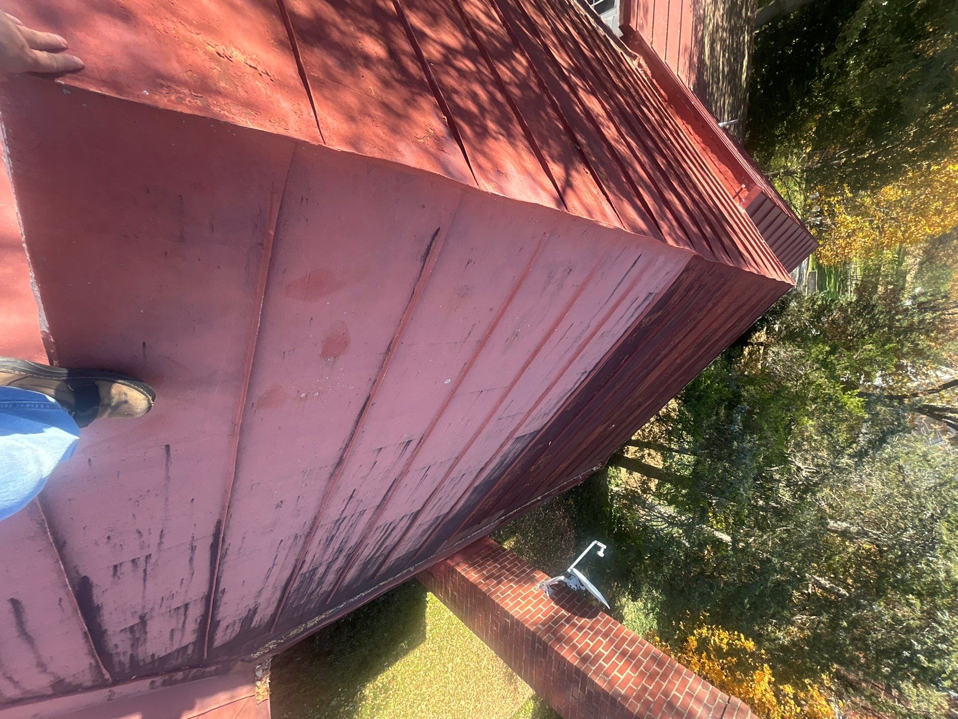 Alexandra: Residential Metal Roofing  by RM Banning, Inc.