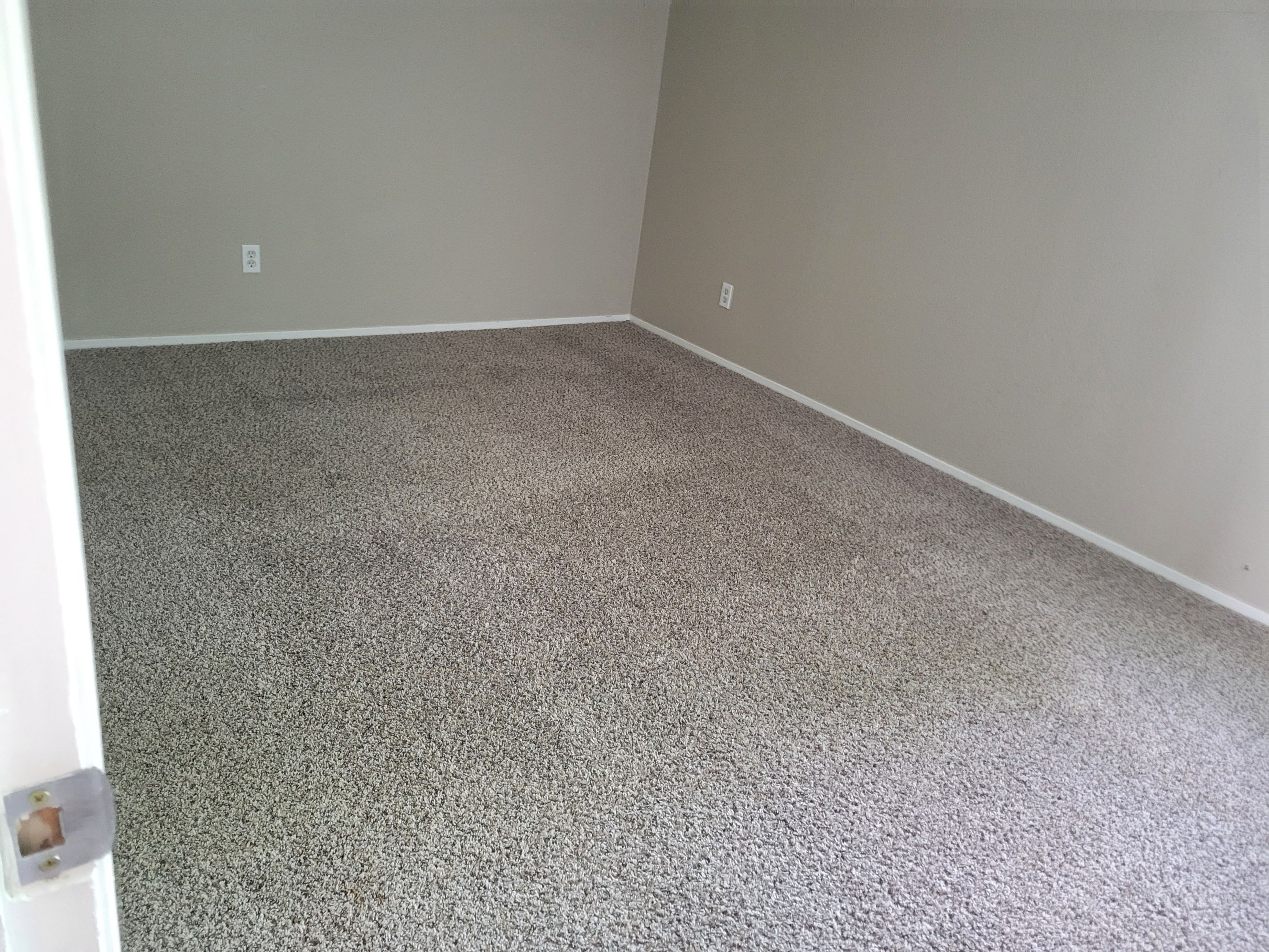 Condo, Move-out Carpet Cleaning by Ardent Carpet Restore LLC