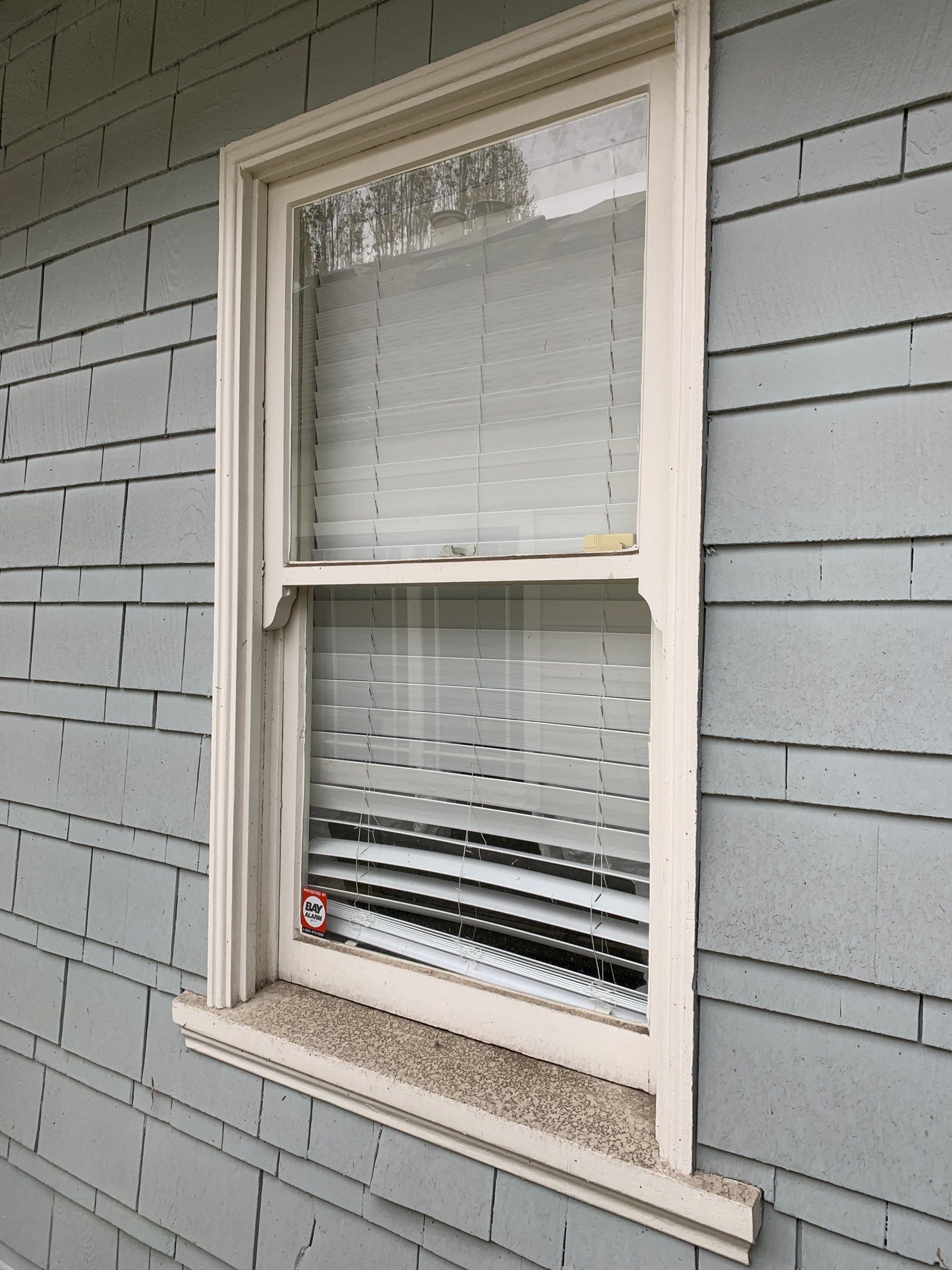 Jordan DiGiorgio by SpotFree Window Cleaning