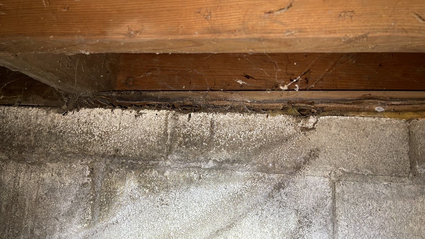 Shallow Waterproofing System and Crawl Space Repairs by Toledo Basement Repair