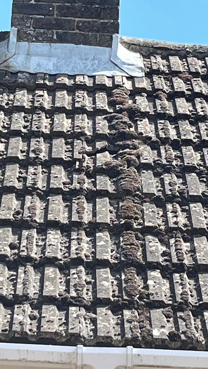 Roof Clean  - Moss Removal - Gutter Clean using Honda 15lpm Low Pressure Washing Machine by Ges Exterior Cleaning ltd