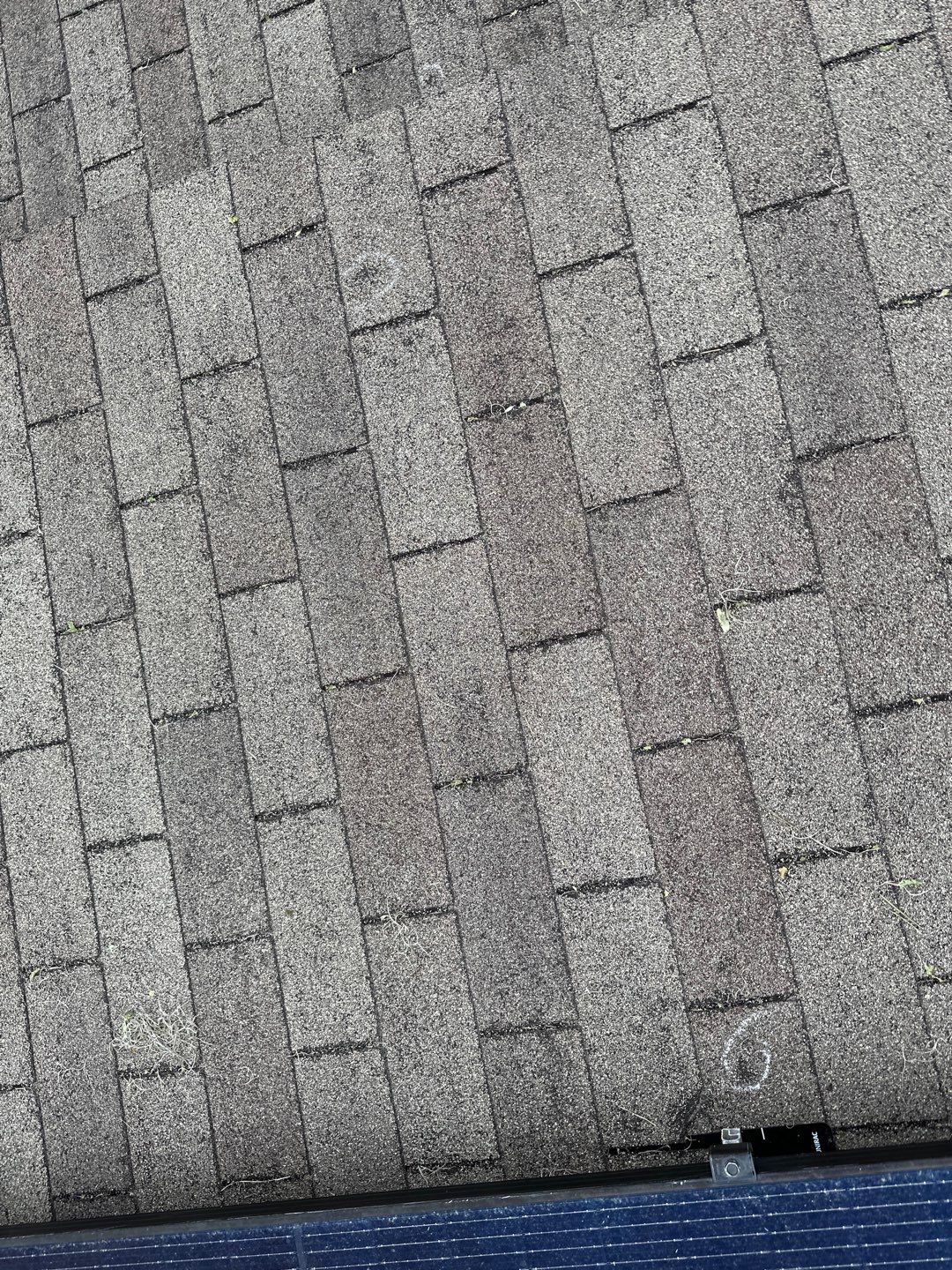 Residential Roofing Installation using Atlas Pinnacle Pristine Black Shadow by Talya Roofing