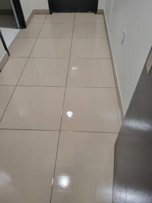 SaniGlaze Removal and reconditioning using CareGuard