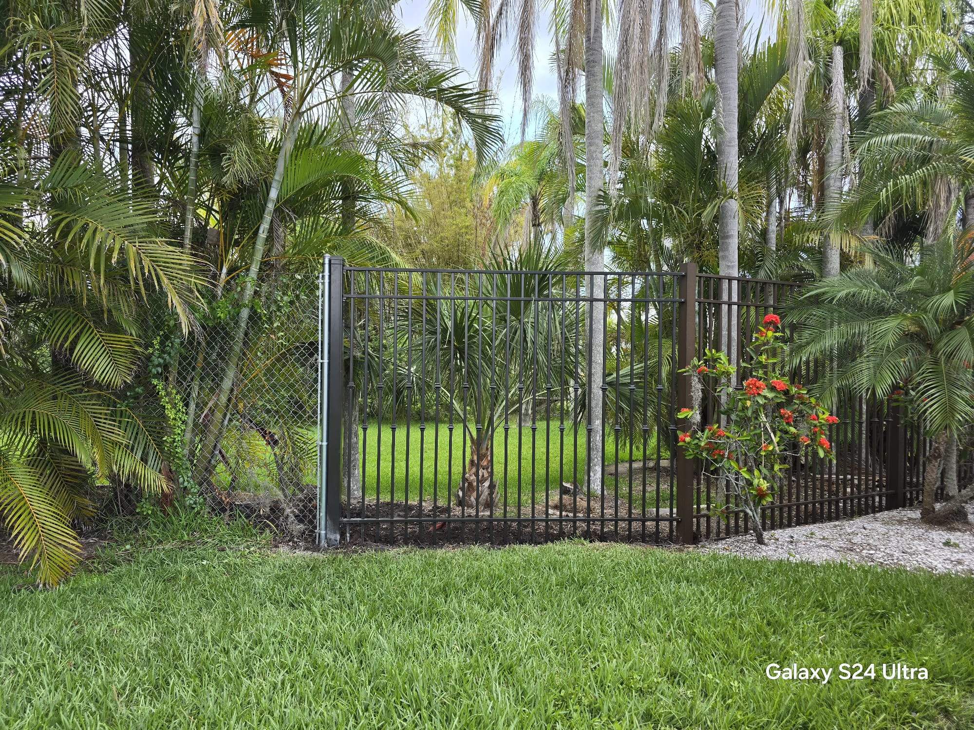 Decorative Aluminum Picket Fence Installation for Palmetto Property by True Fence LLC