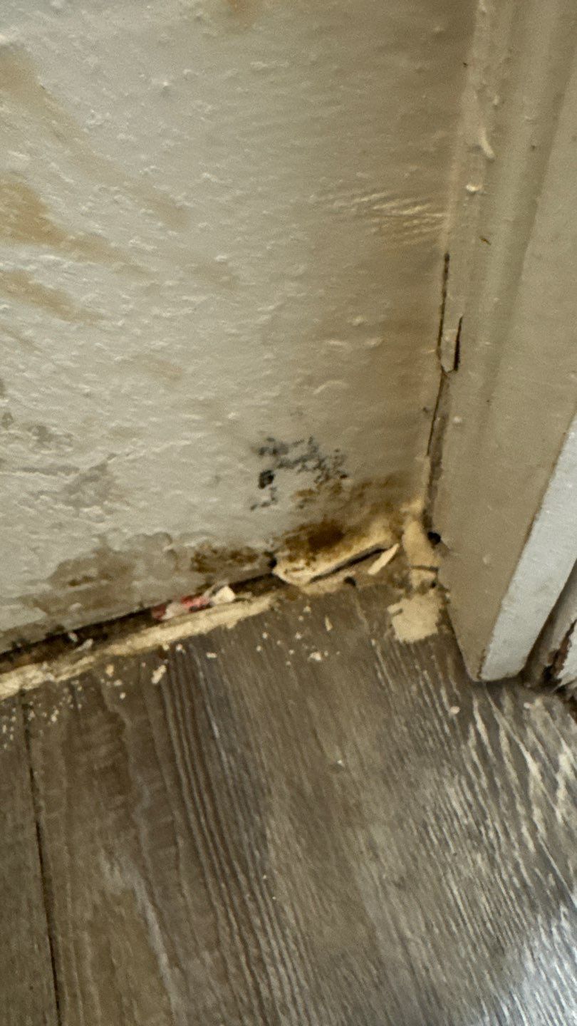 Mold Damage Project in Denver by Accountable Home Services