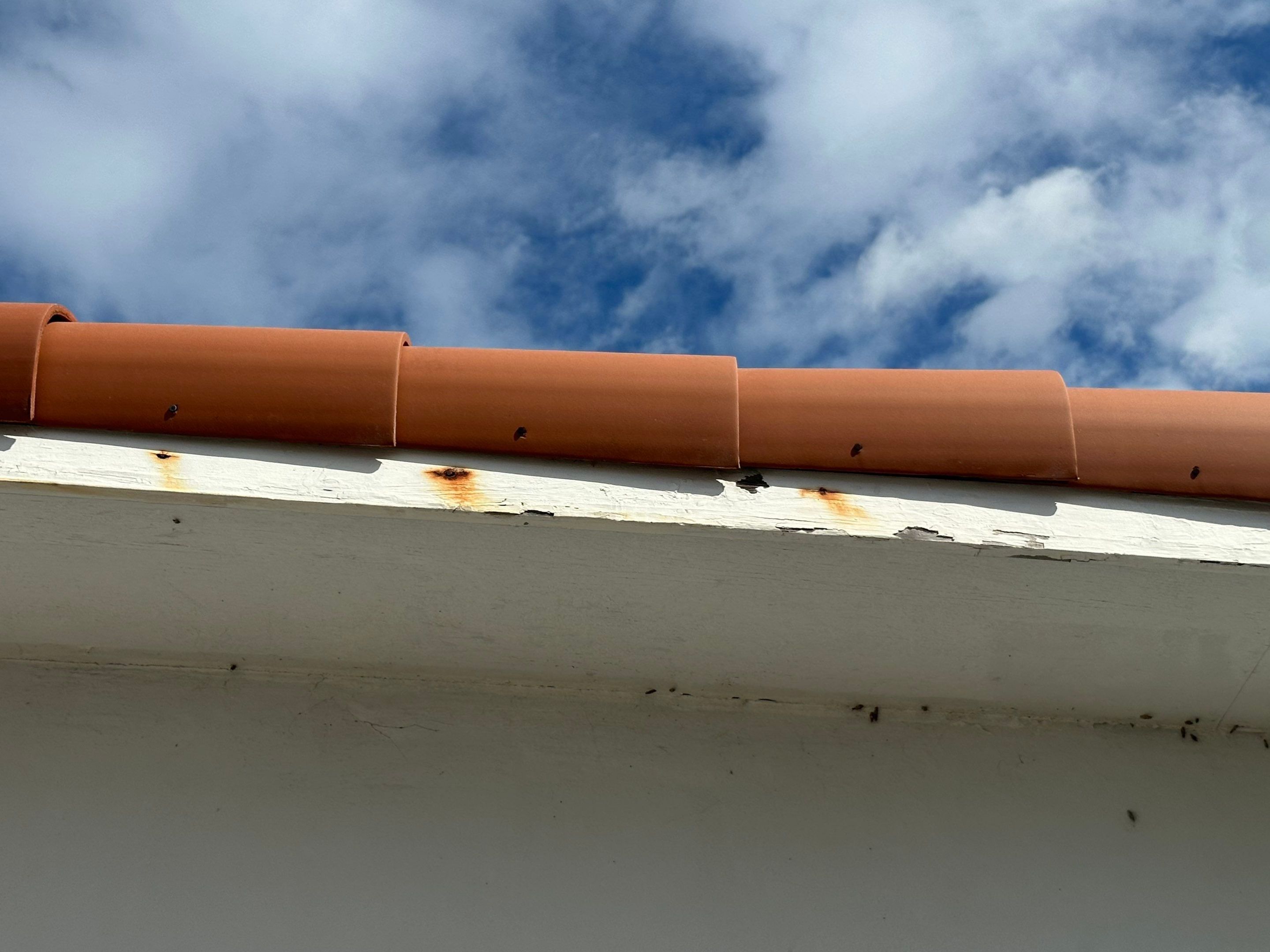 Residential Full Exterior  by John “The Greek” Painting