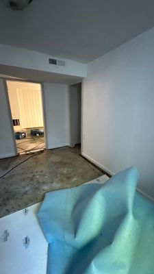 Project in Denver