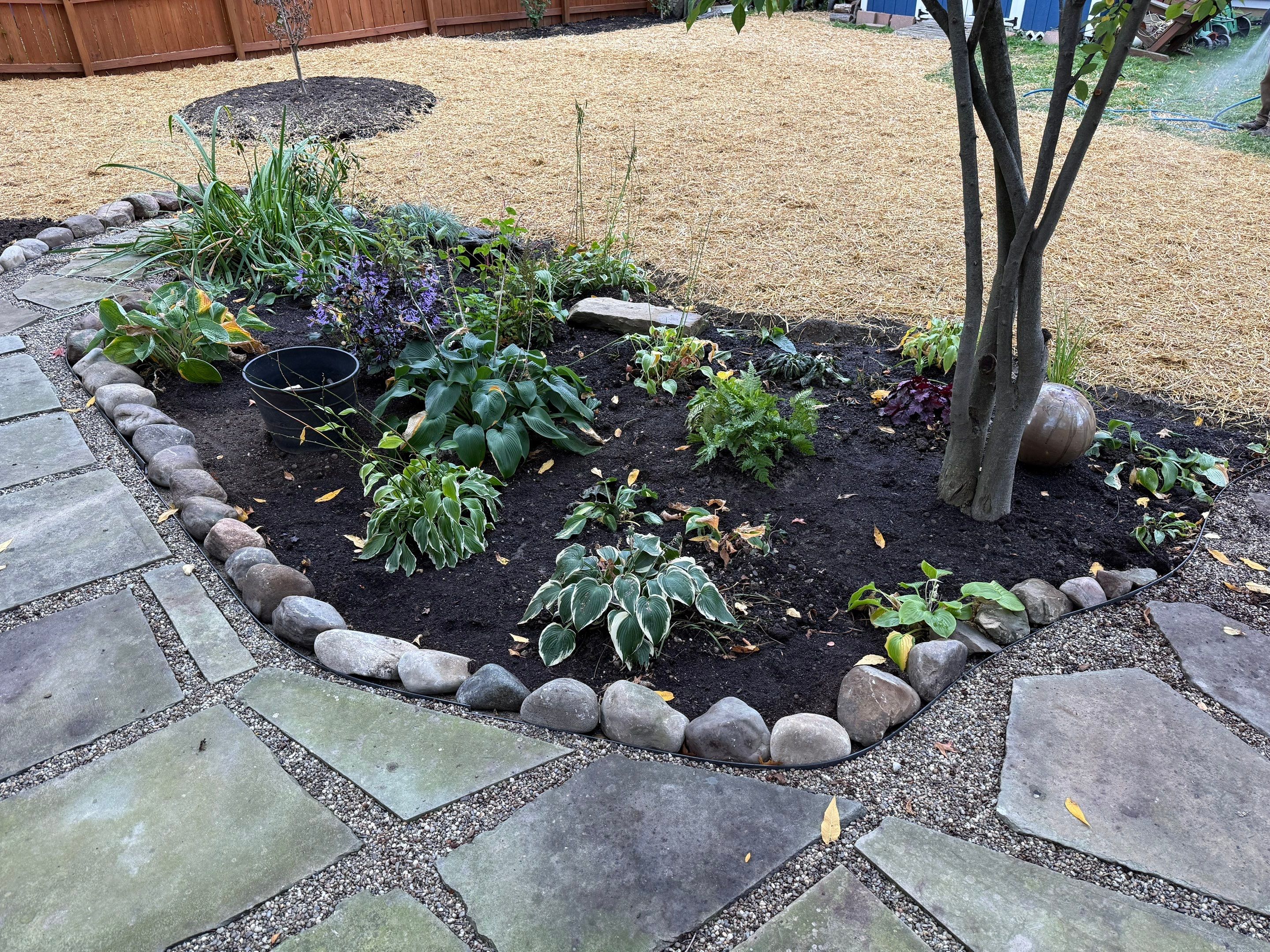 Berea Sandstone Project by Elm Rose Gardens