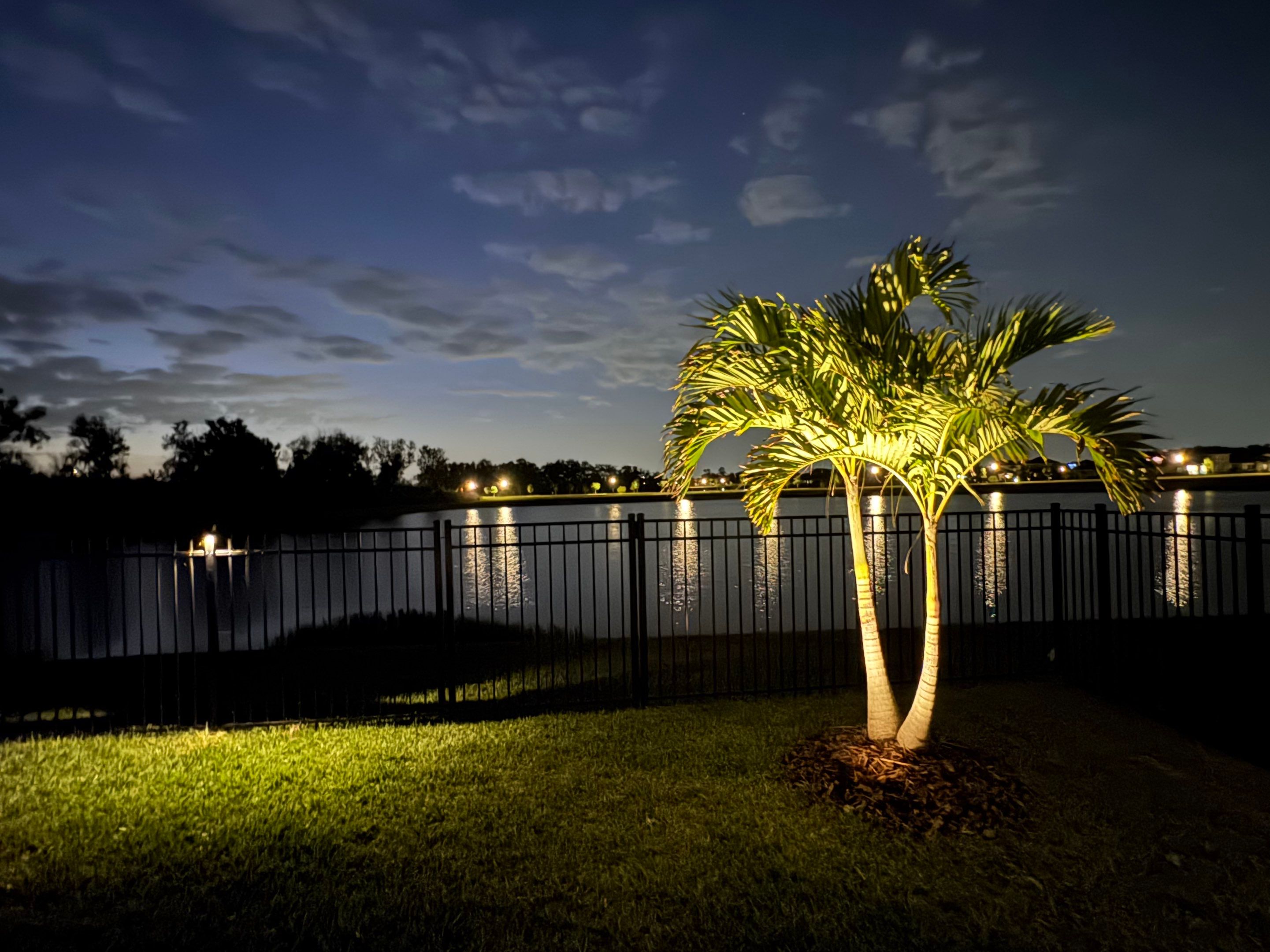 Custom Landscape and Pool Enclosure Lighting Installation in Apollo Beach