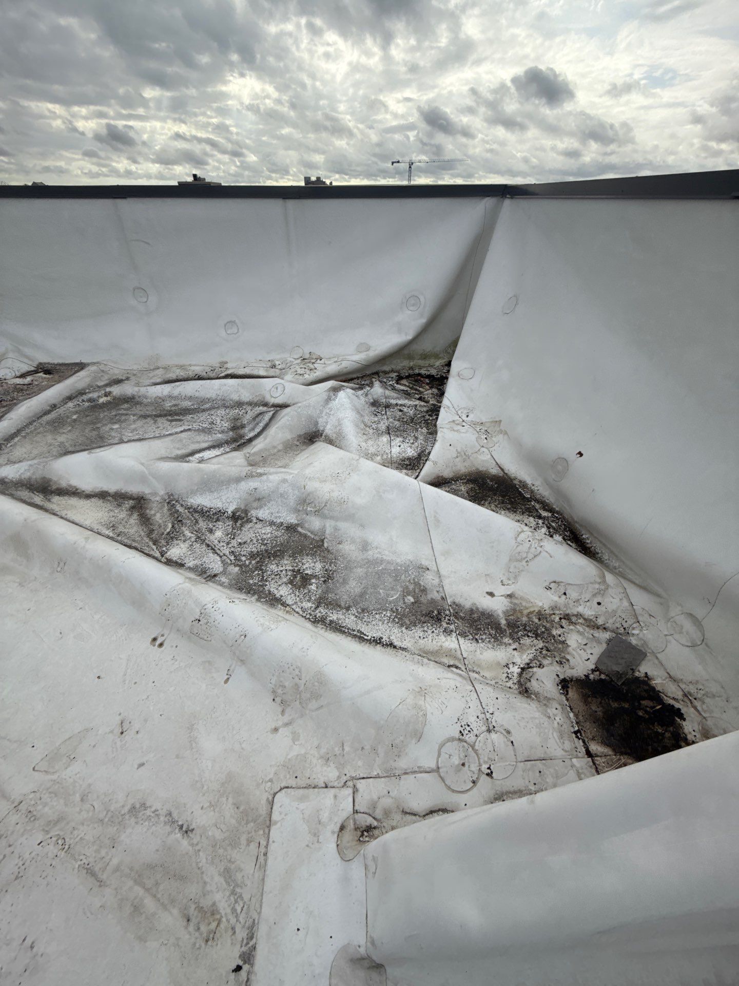 Roof Replacement in Webster TX by Roof Repair Company