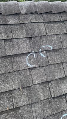 Hail Inspection