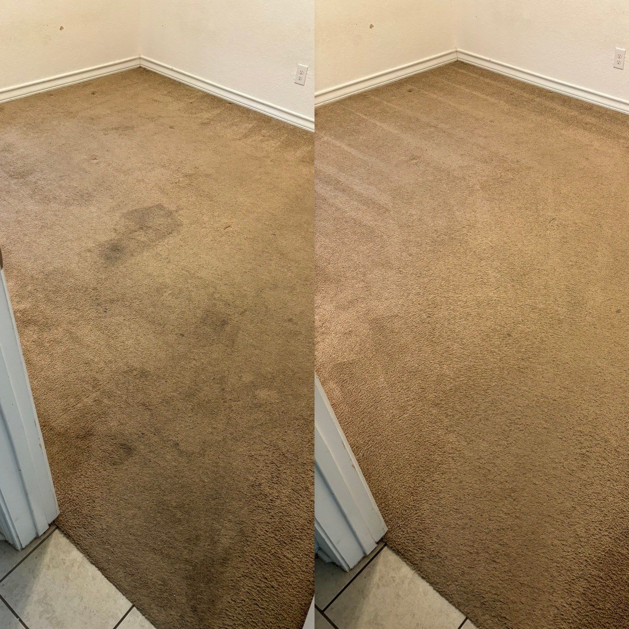 the service shown is carpet cleaning removing stains and dirt from the carpet surface providing a refreshed clean appearance