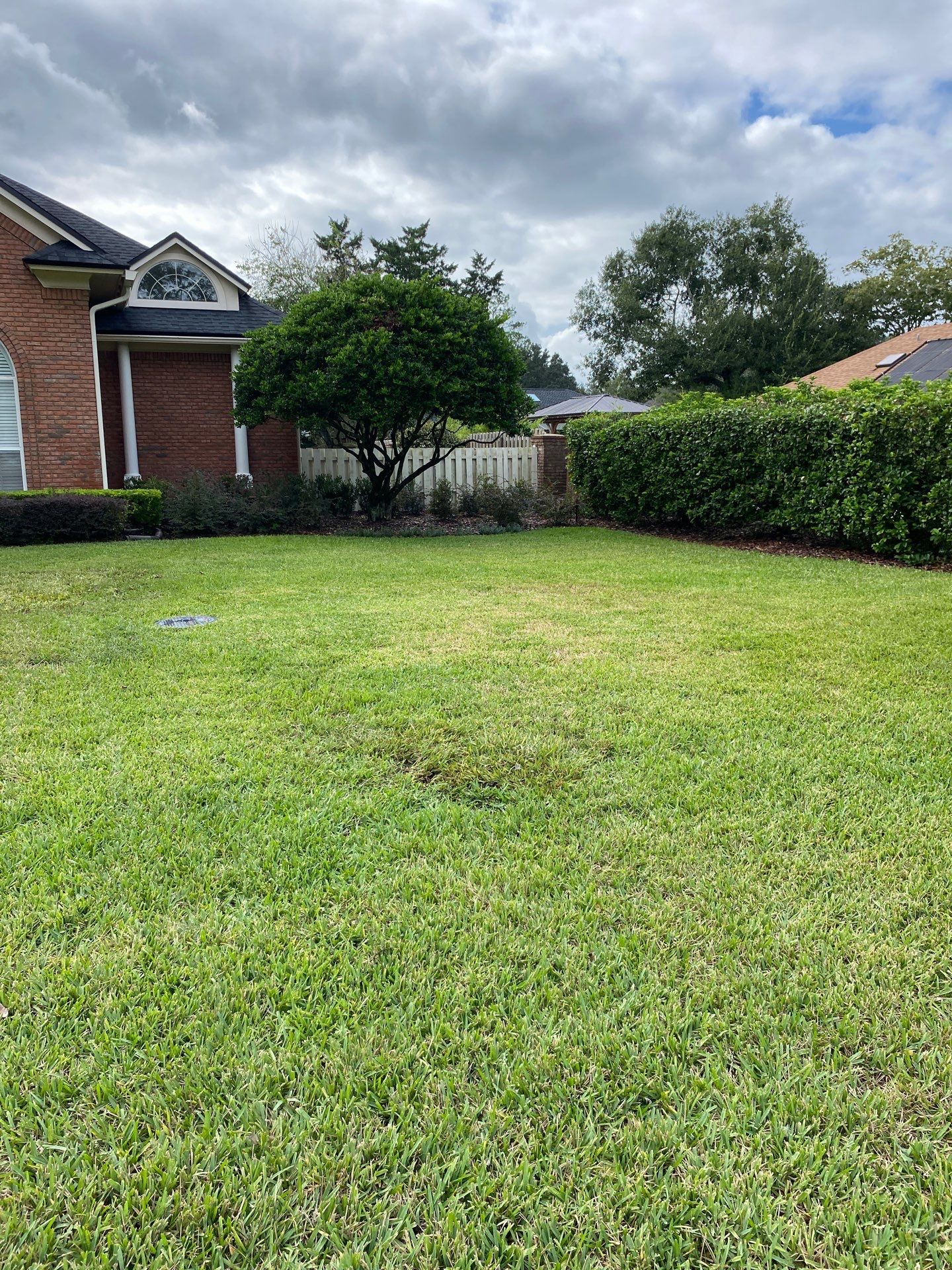 Deerwood Resident | Sod Replacement by ProGreen Services