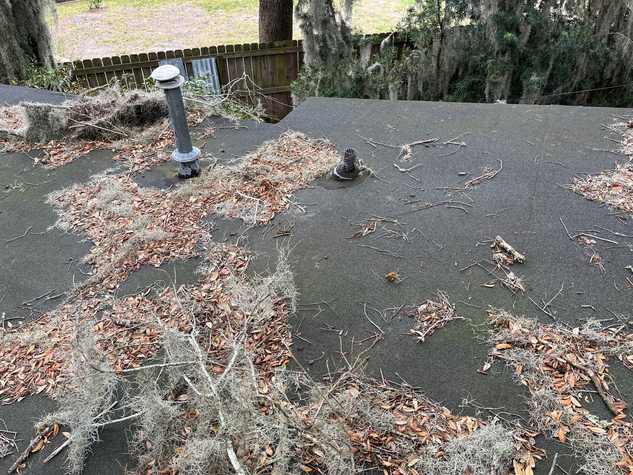 Shingle -> Shingle by Prime Roofing