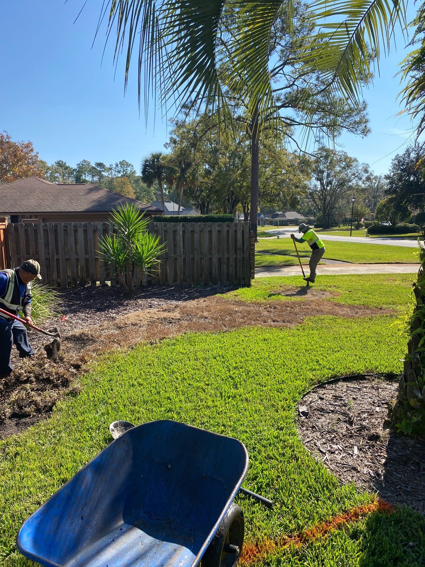 Deerwood Resident | Winter Sod Replacement by ProGreen Services