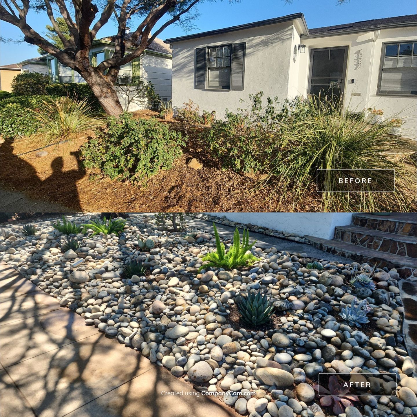 Xeriscape Transformation with River Rock and Irrigation in San Diego by Yard Techs