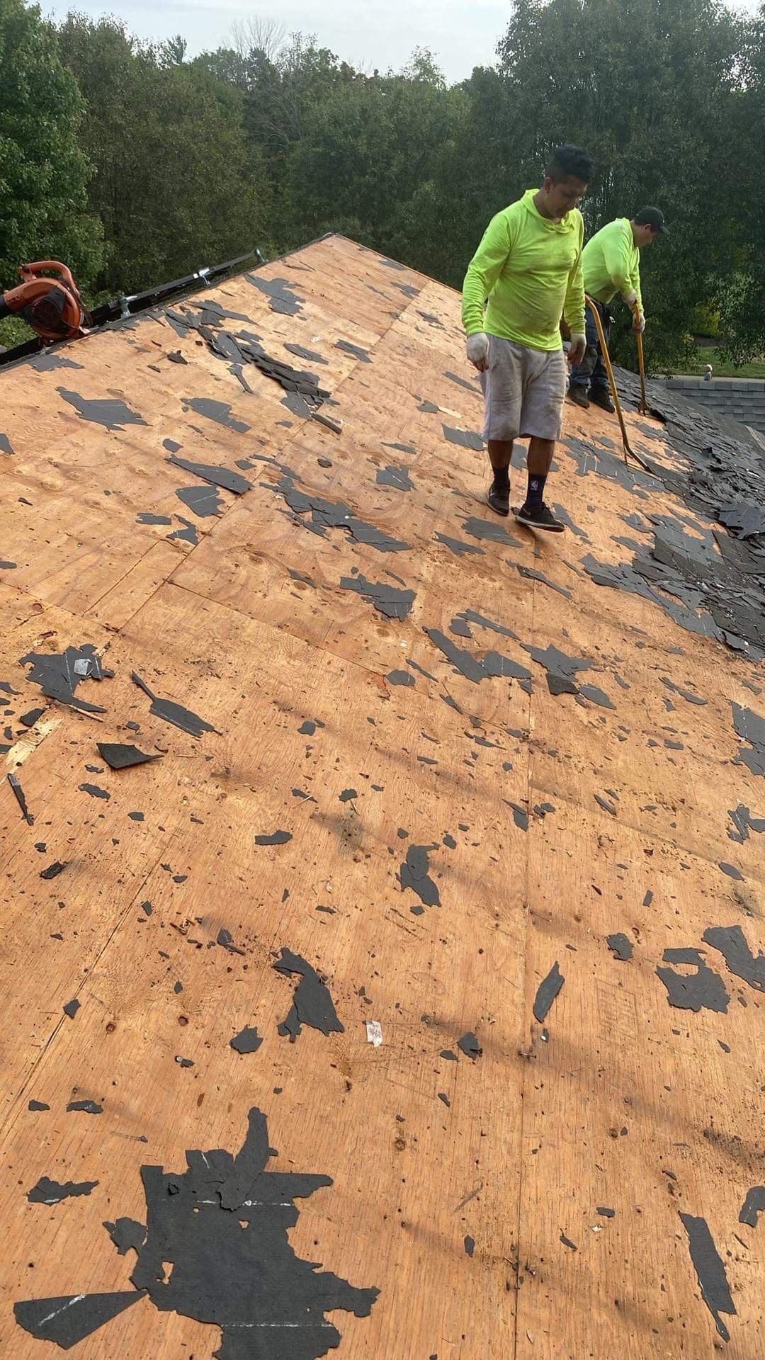 Silver Birch Shingles by Reimagine Roofing