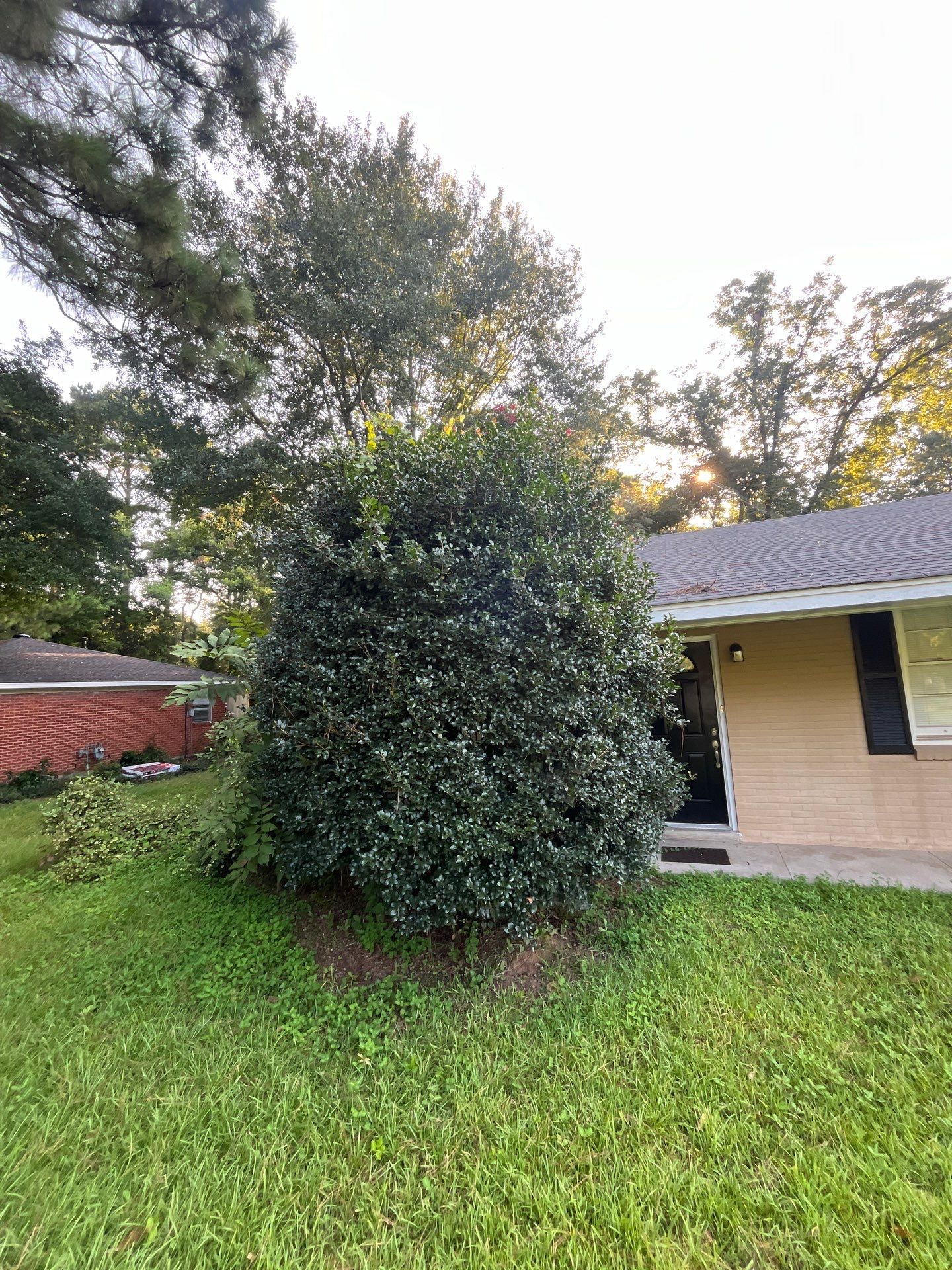 Yard Makeover by College Bros Outdoor services