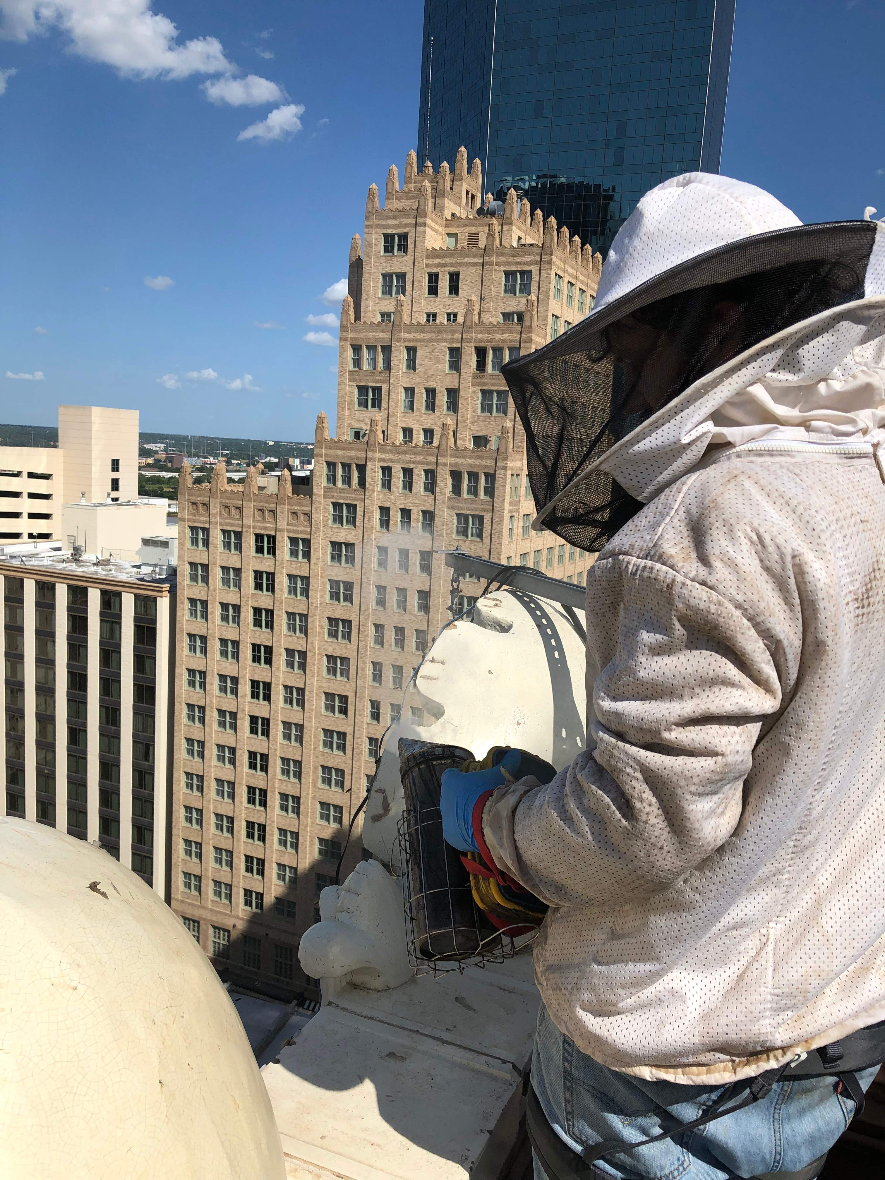 Downtown Highrise by Rockwall Honey Bee Company