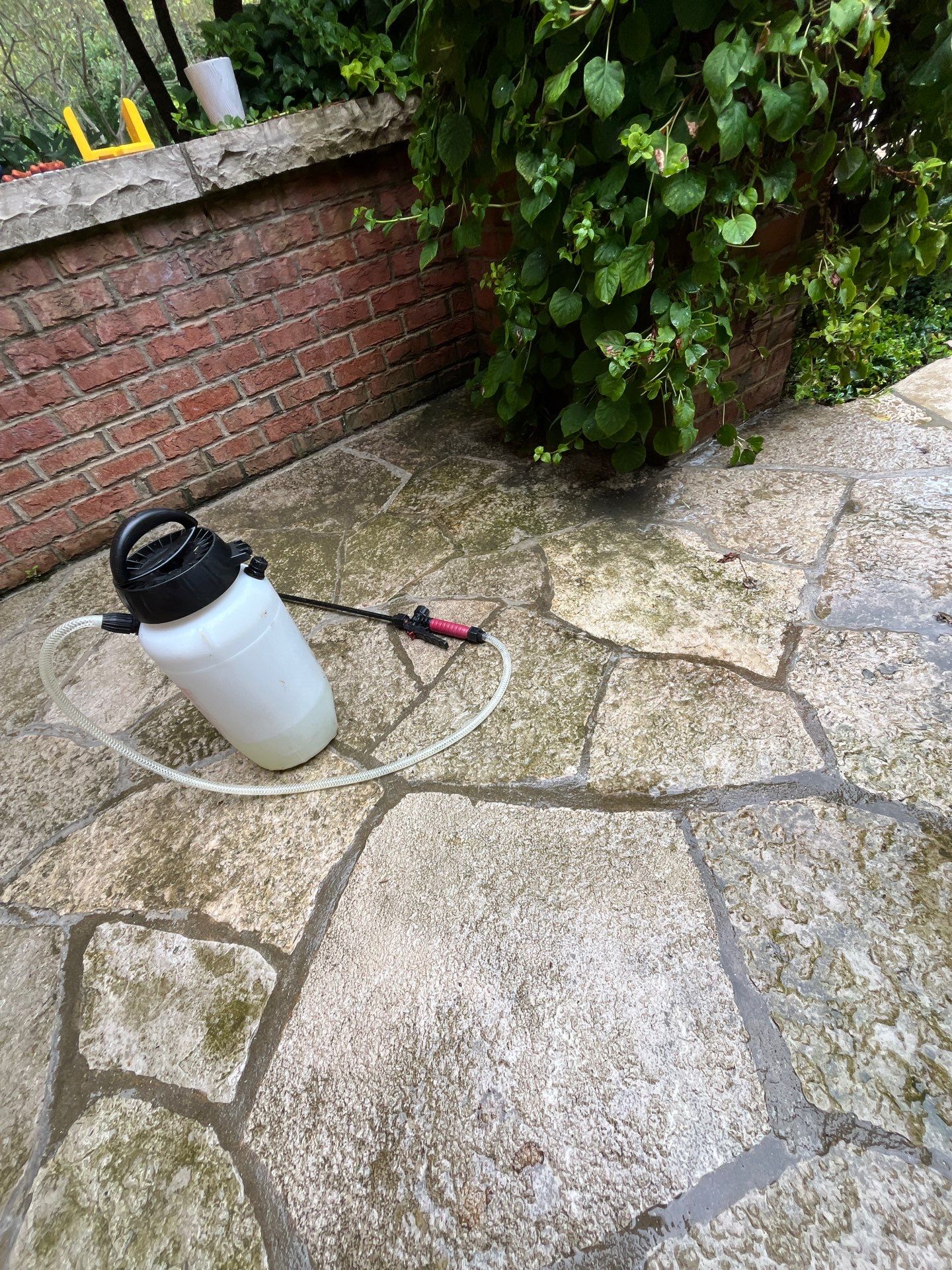 natural stone using Algaecide, soft wash soap by Northern Power Washing LLC.