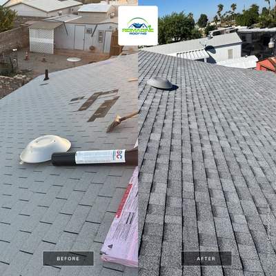 Silver Birch Shingles
