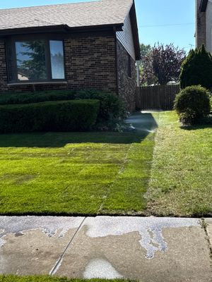 Al P. - Des Plaines, IL