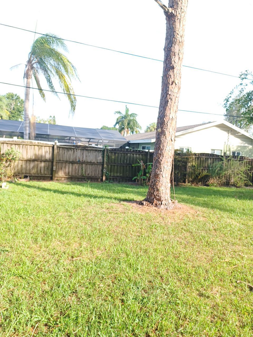Sarasota, FL 6ft. Tall Treated Board on Board Wood Fence by Asap fence and gates, LLC