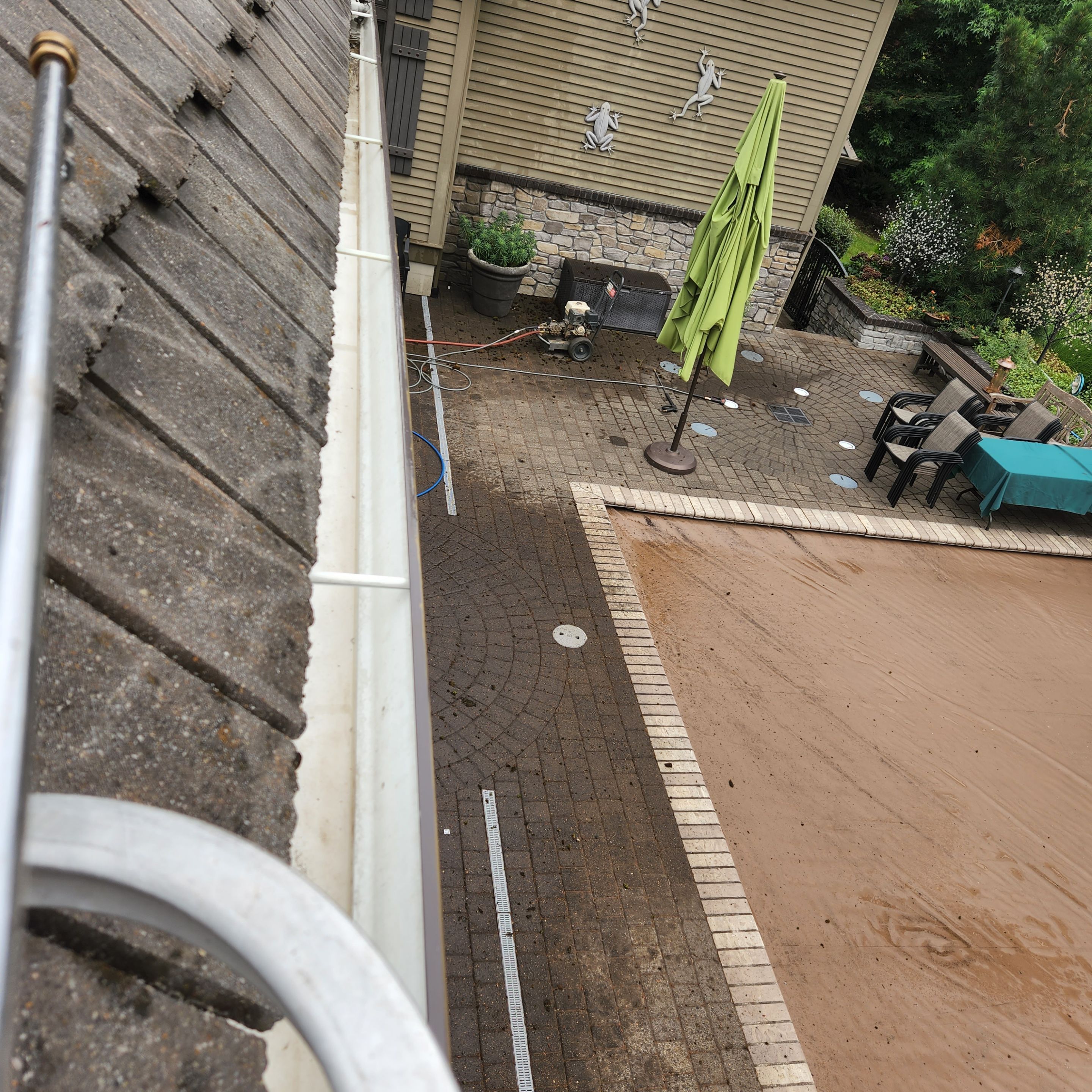 Moss Removal/ Treatment using Biocide by Willamette Outdoor Wash LLC