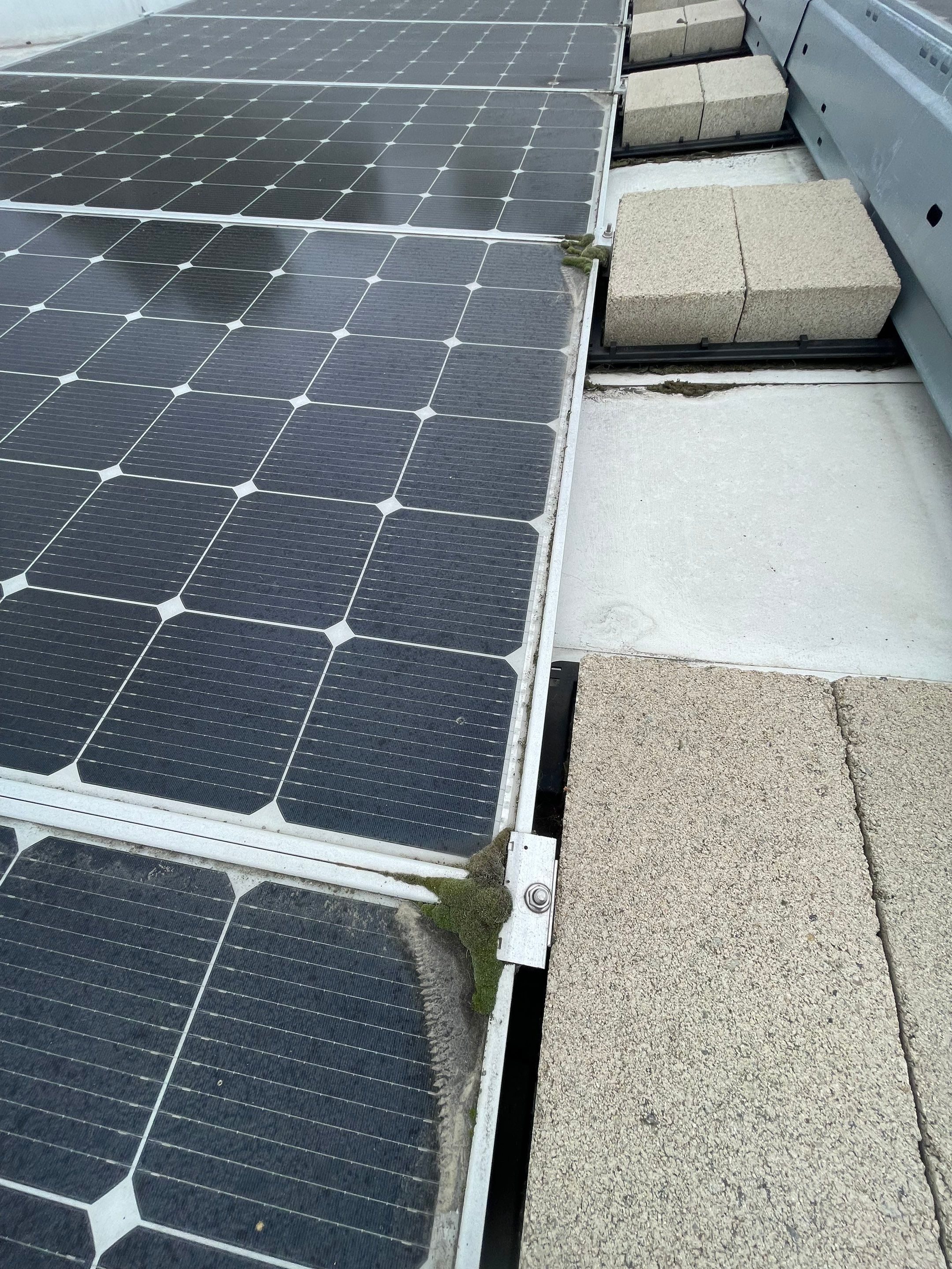 Commercial Solar Cleaning by Palm Coast Solar Cleaning