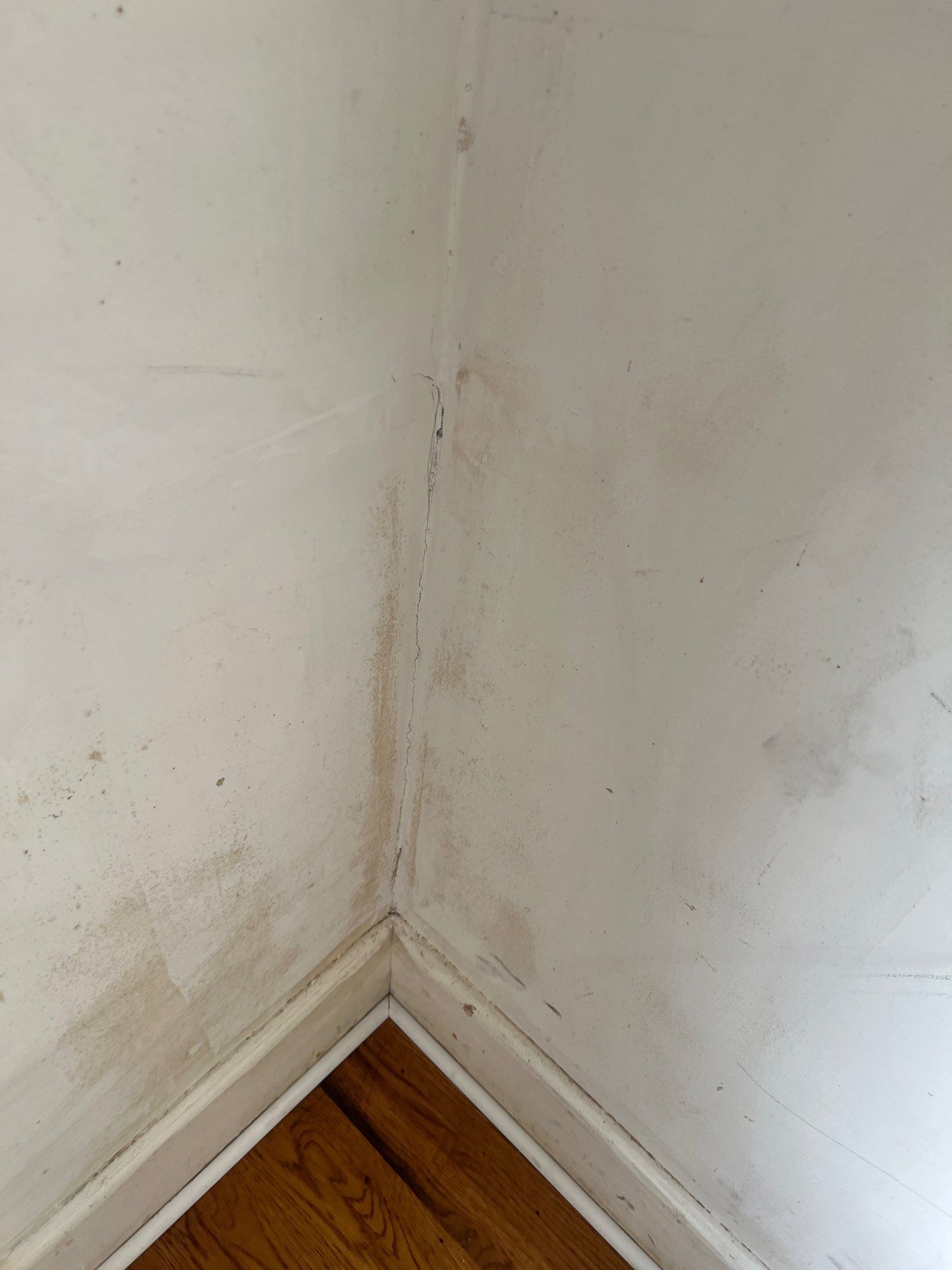 Interior Remodel by Magic Painting
