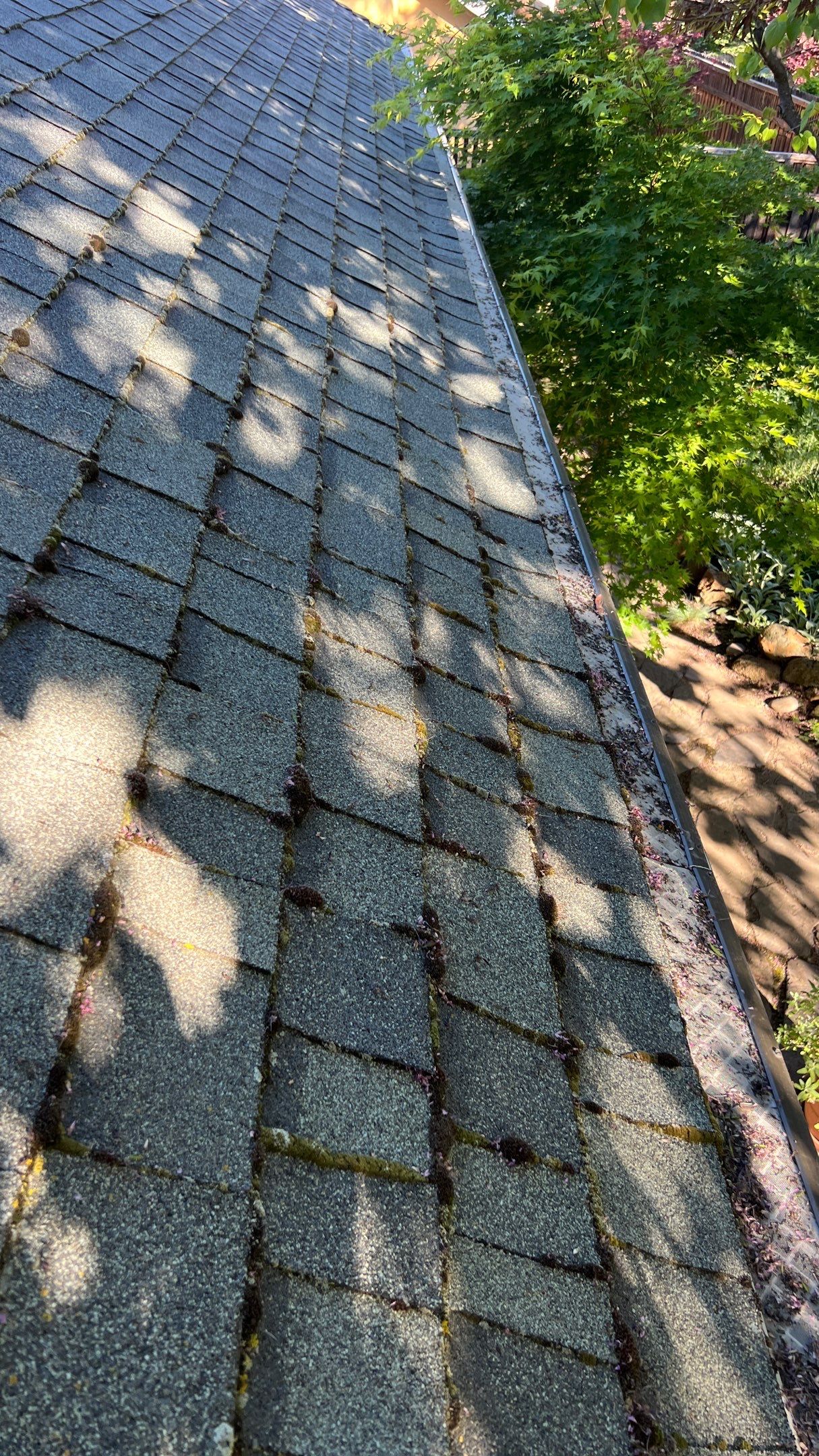 Roof Rejuvenation using Roof Maxx Treatment by Roof Maxx of Folsom