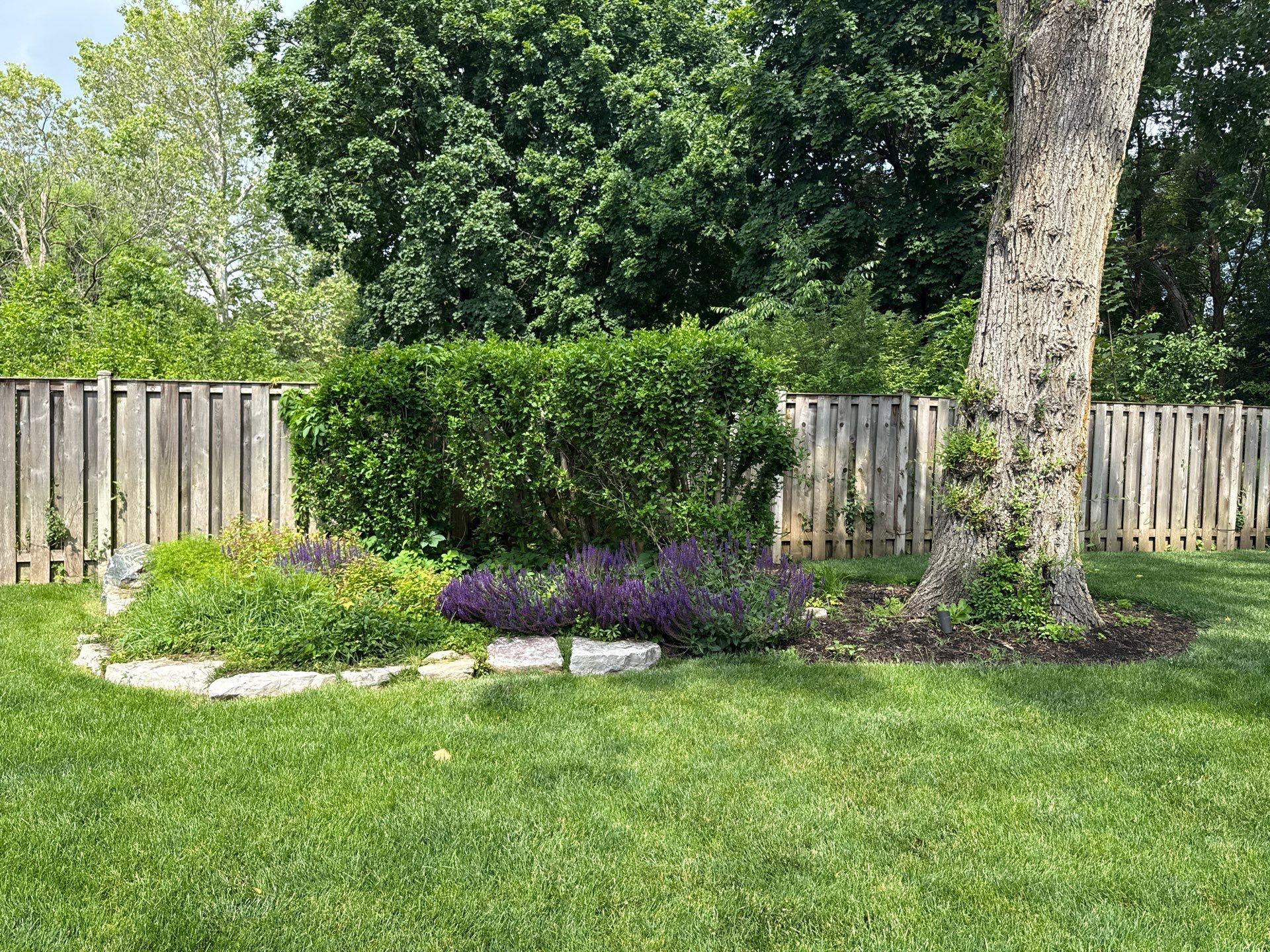 Kevin K. - Deerfield, IL by A&N