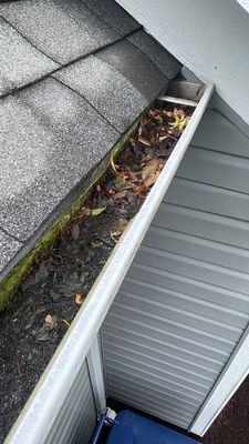Turtle Shell gutter protection installation in Naperville, IL 60540, photograph 3