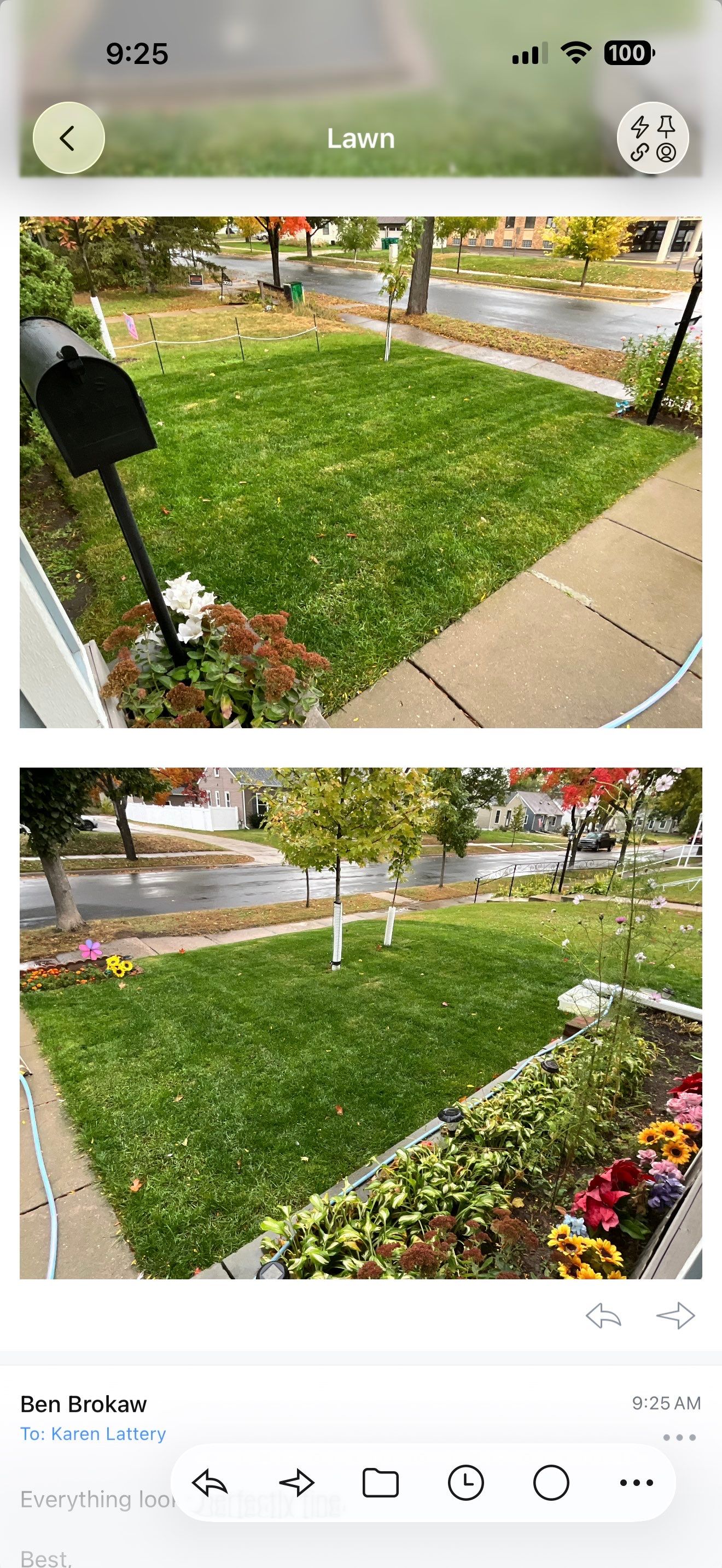 Sod Replacement by Sota landscaping
