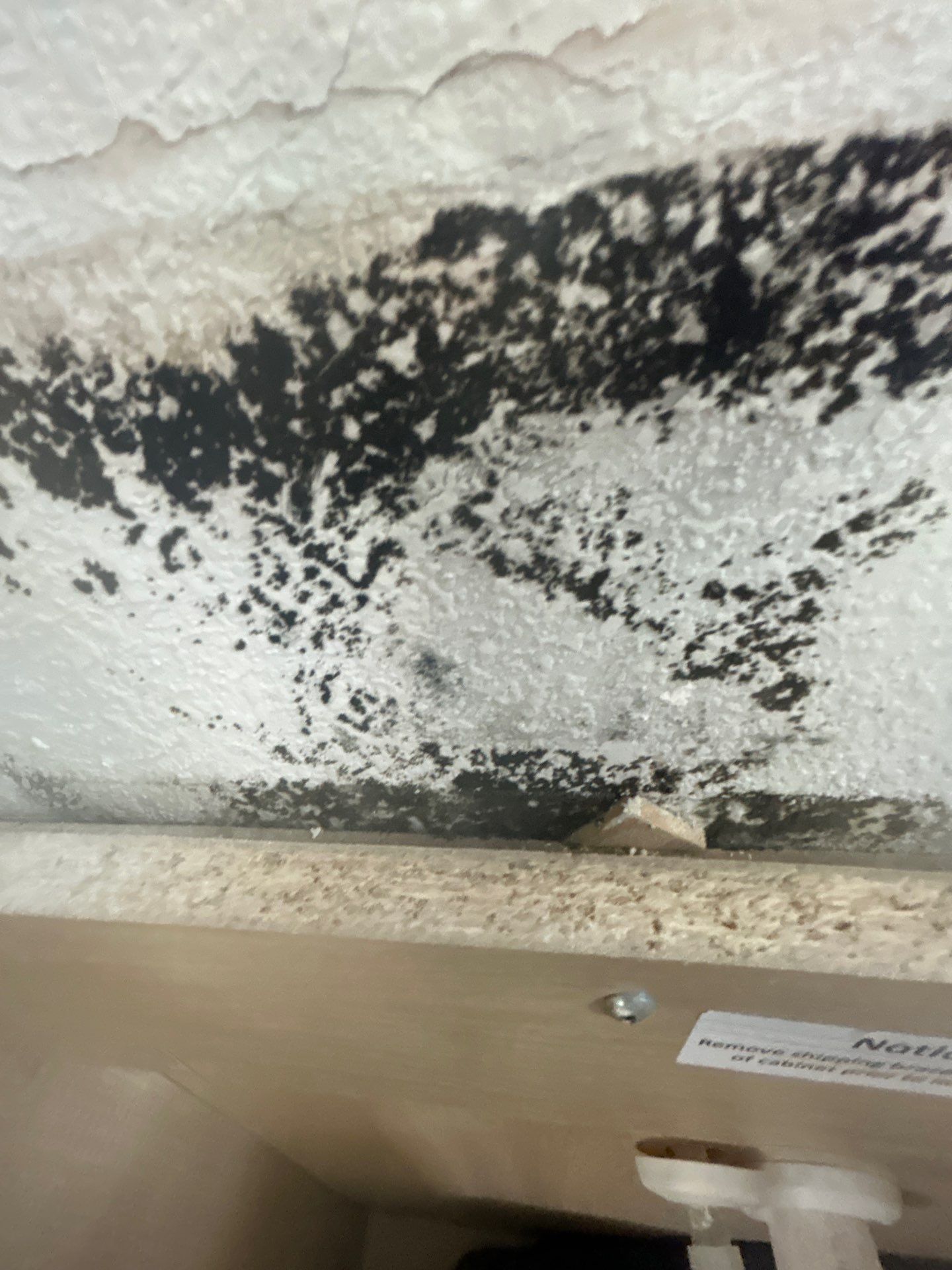Water Damage Removal: Sarasota  by Ampm Restoration Services 