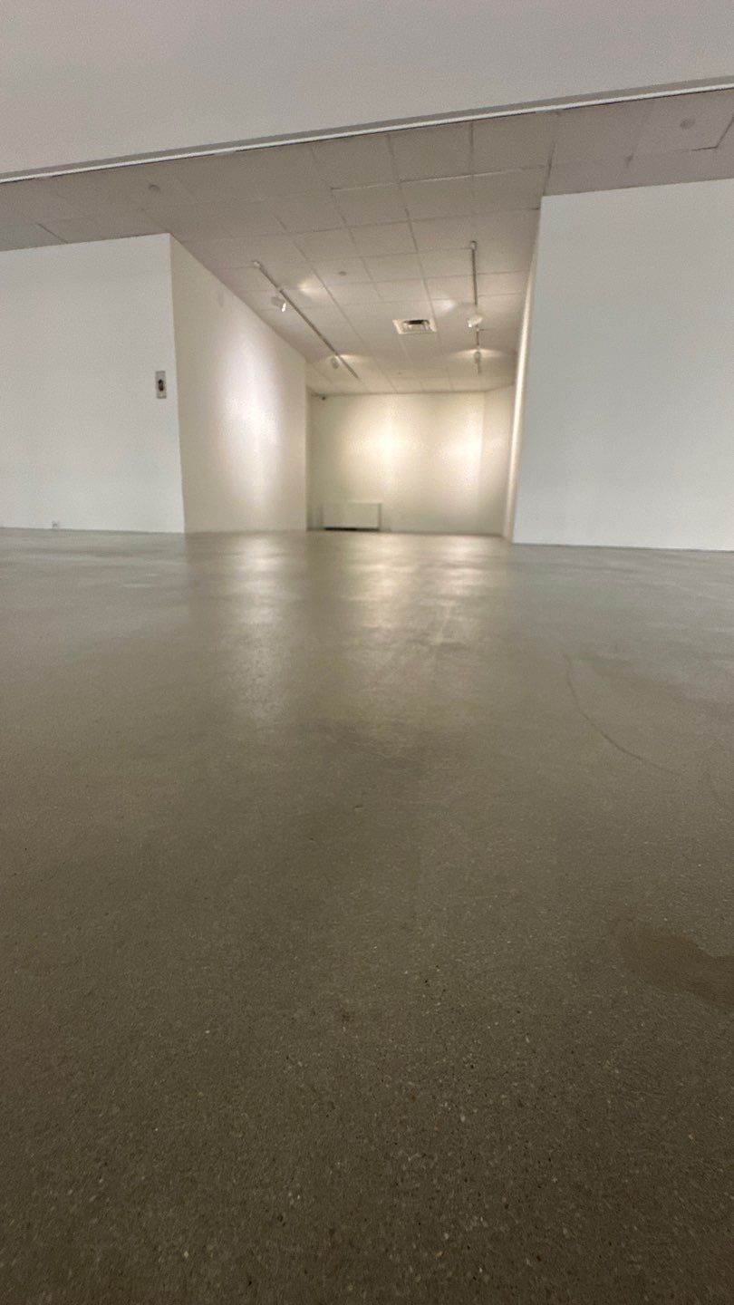 Grind off 20 layers of Paint Project in Pittsburgh by Floors in a Day, Inc