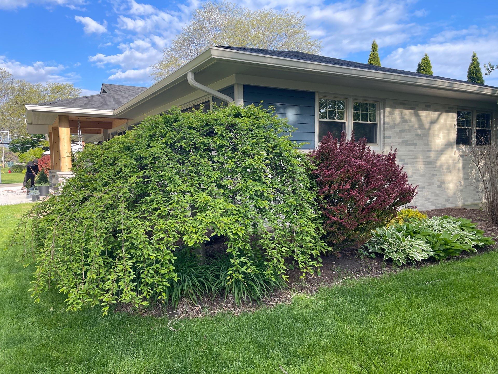 James F. - Arlington Heights, IL by A&N