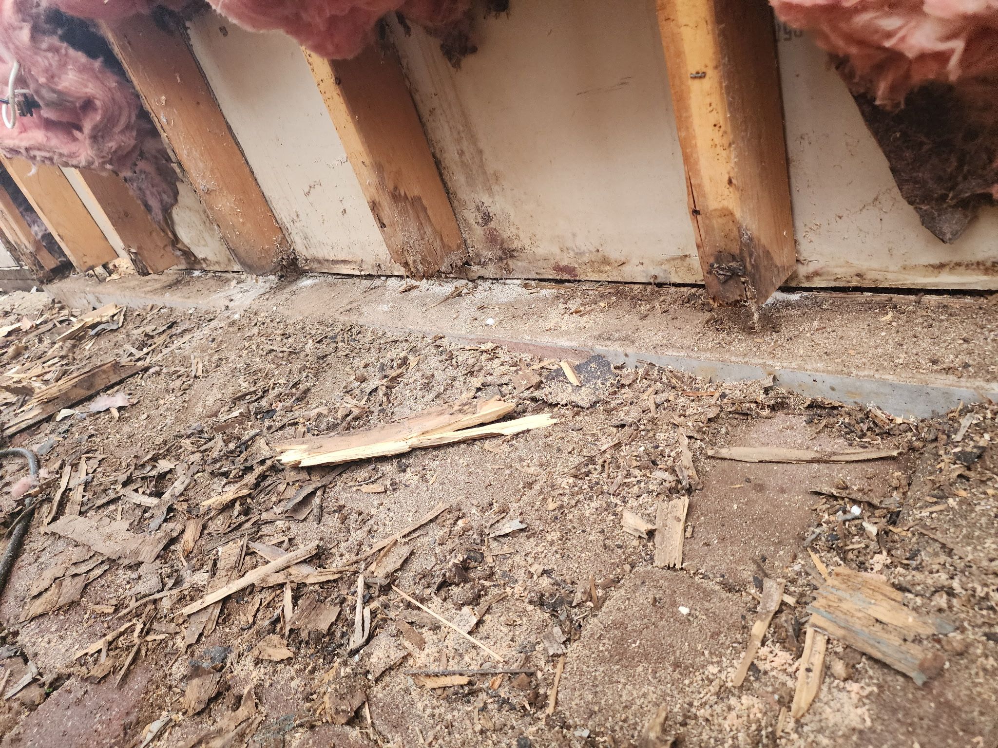 Budget friendly repair by REPS Austin Area Roofer