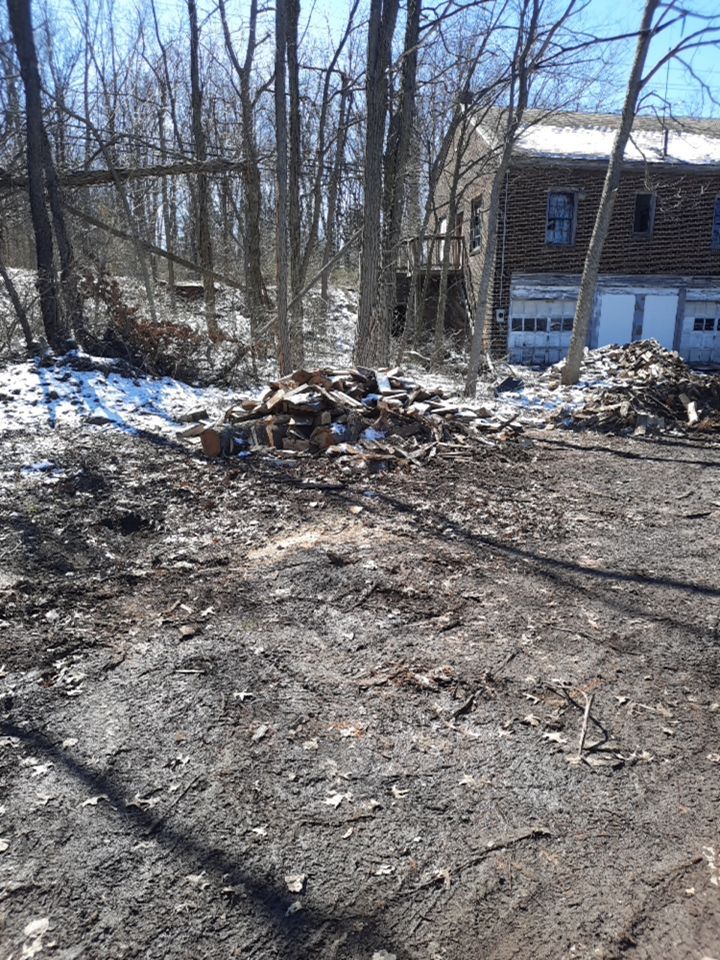 Tree Removal using Tree Removal by Mike Jones & Sons Tree Service LLC 