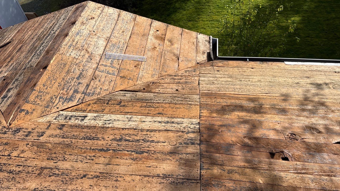 Willa Holmstock by NuLead Construction Inc